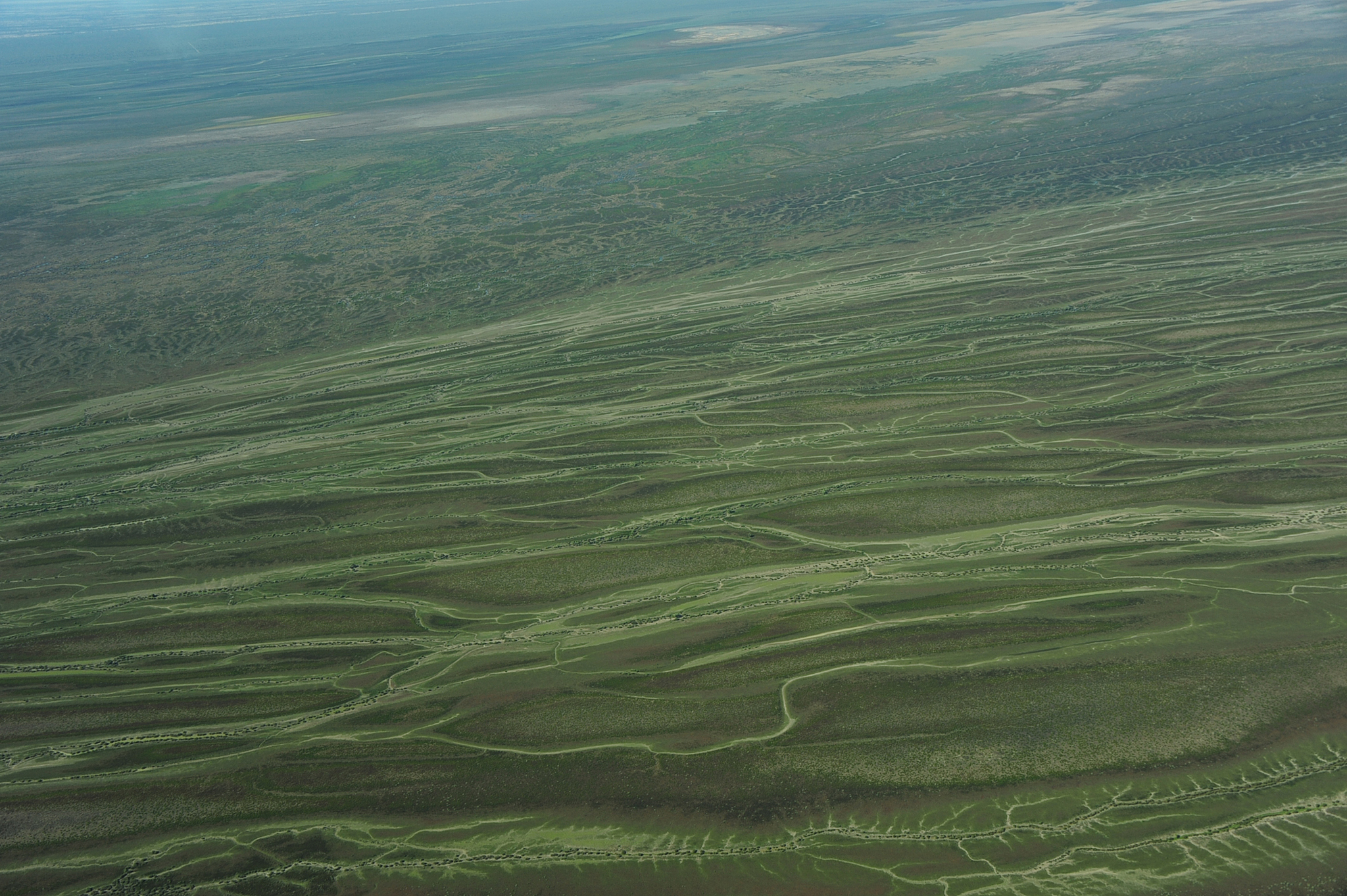 an aerial viewpoint of the vast and almost empty channel country