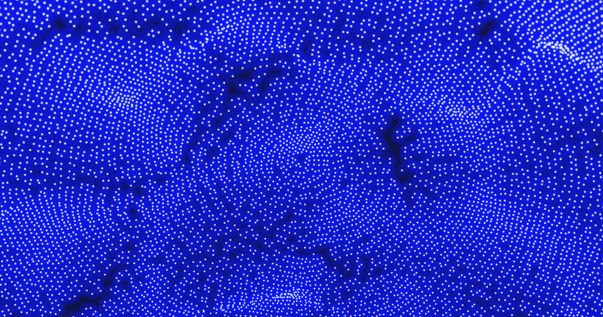 厦门2023二本学校什么专业好就业 怎样选专业