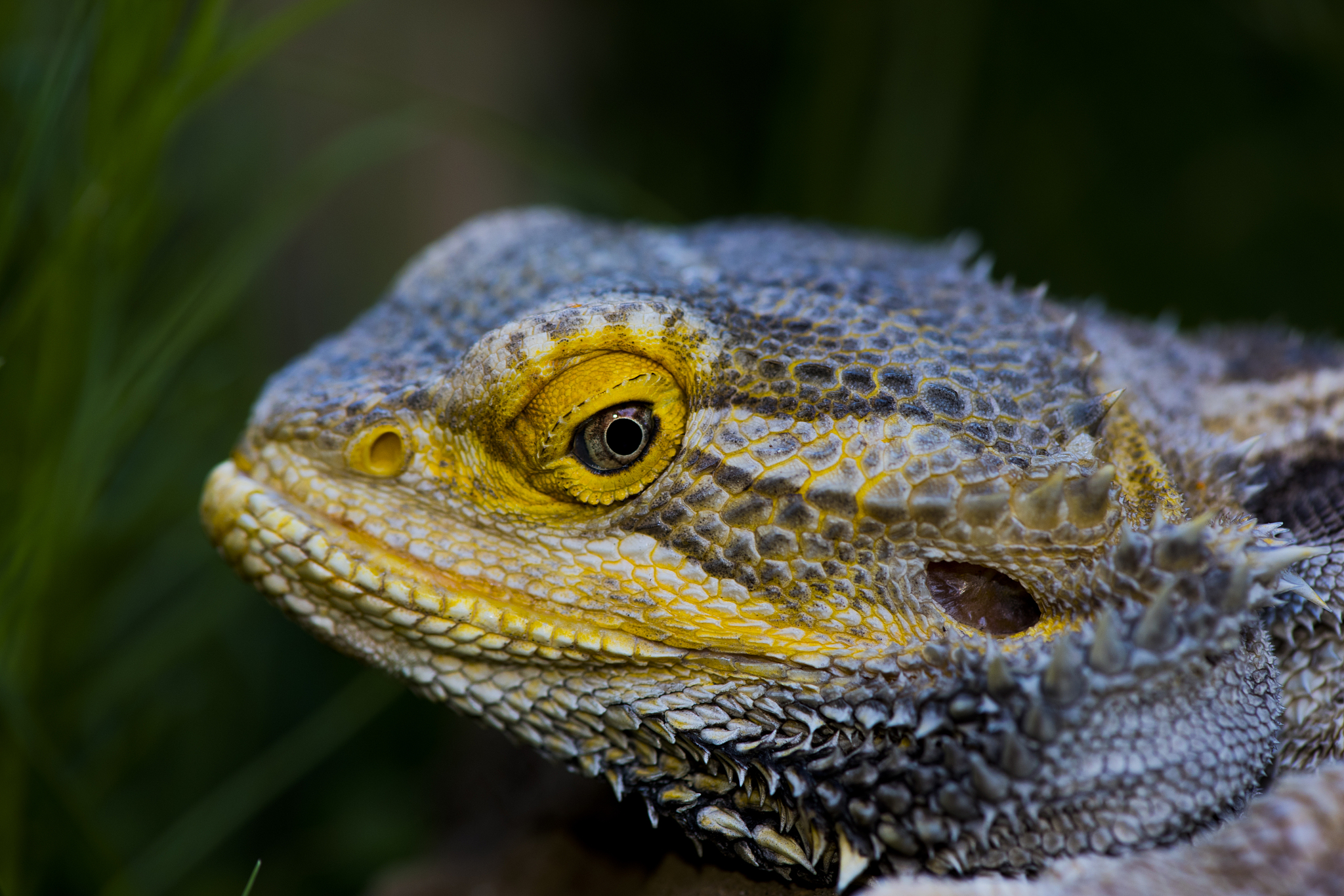 无意识的随机想象事物并伴随思考加速
