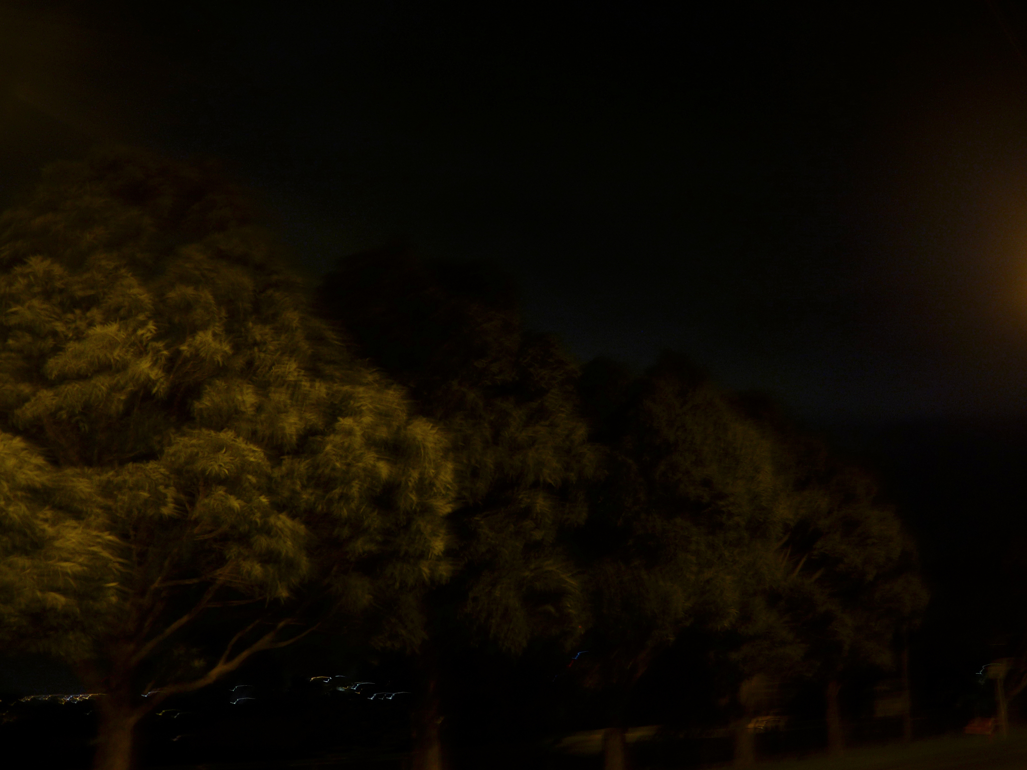 nightlife