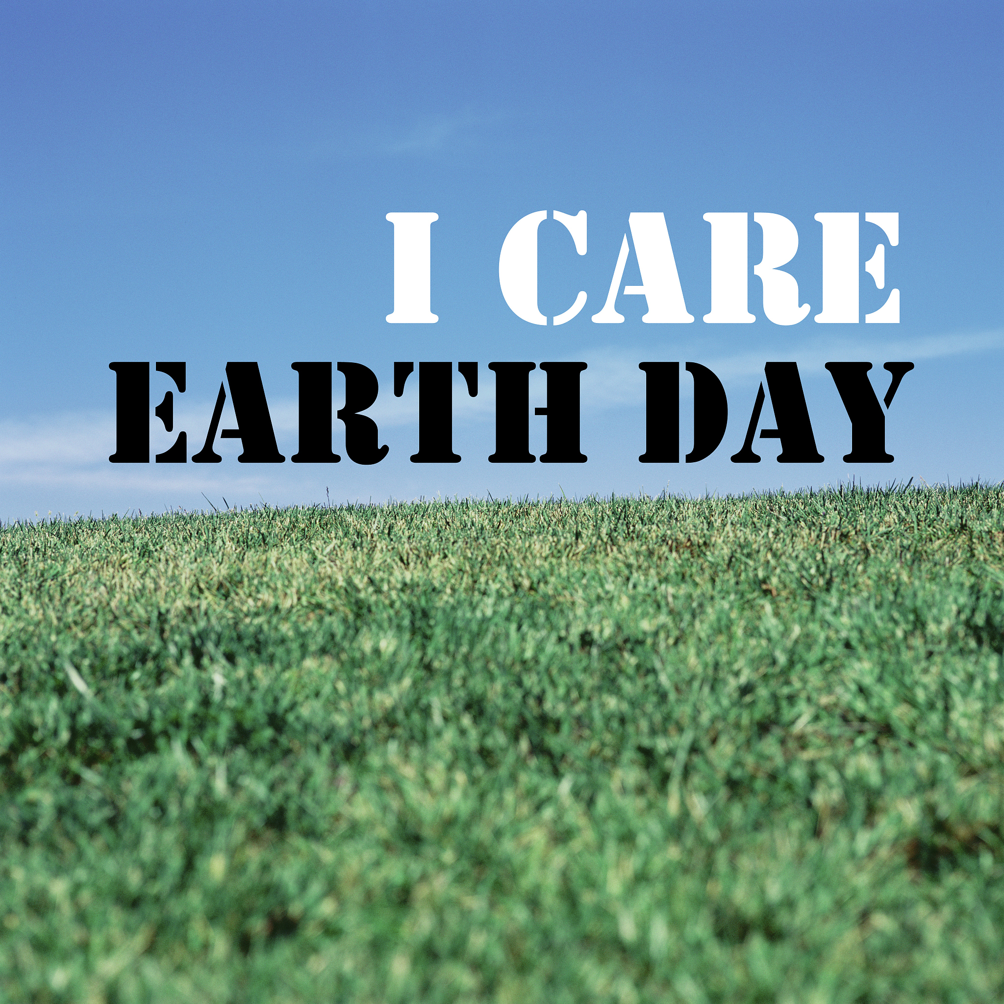 Feeling Grounded: A Day Out with Luca and the Power of Nature