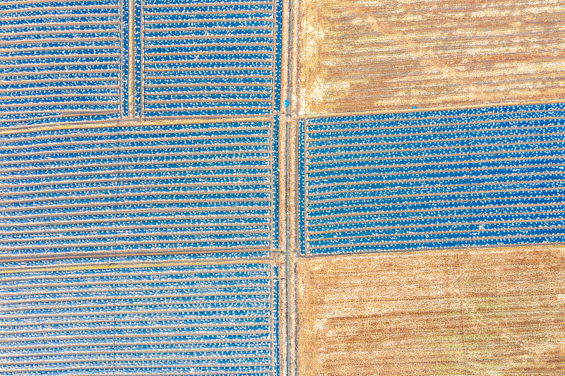 湛江理工职业学校2023年招生简章-好不好？专业有哪些？