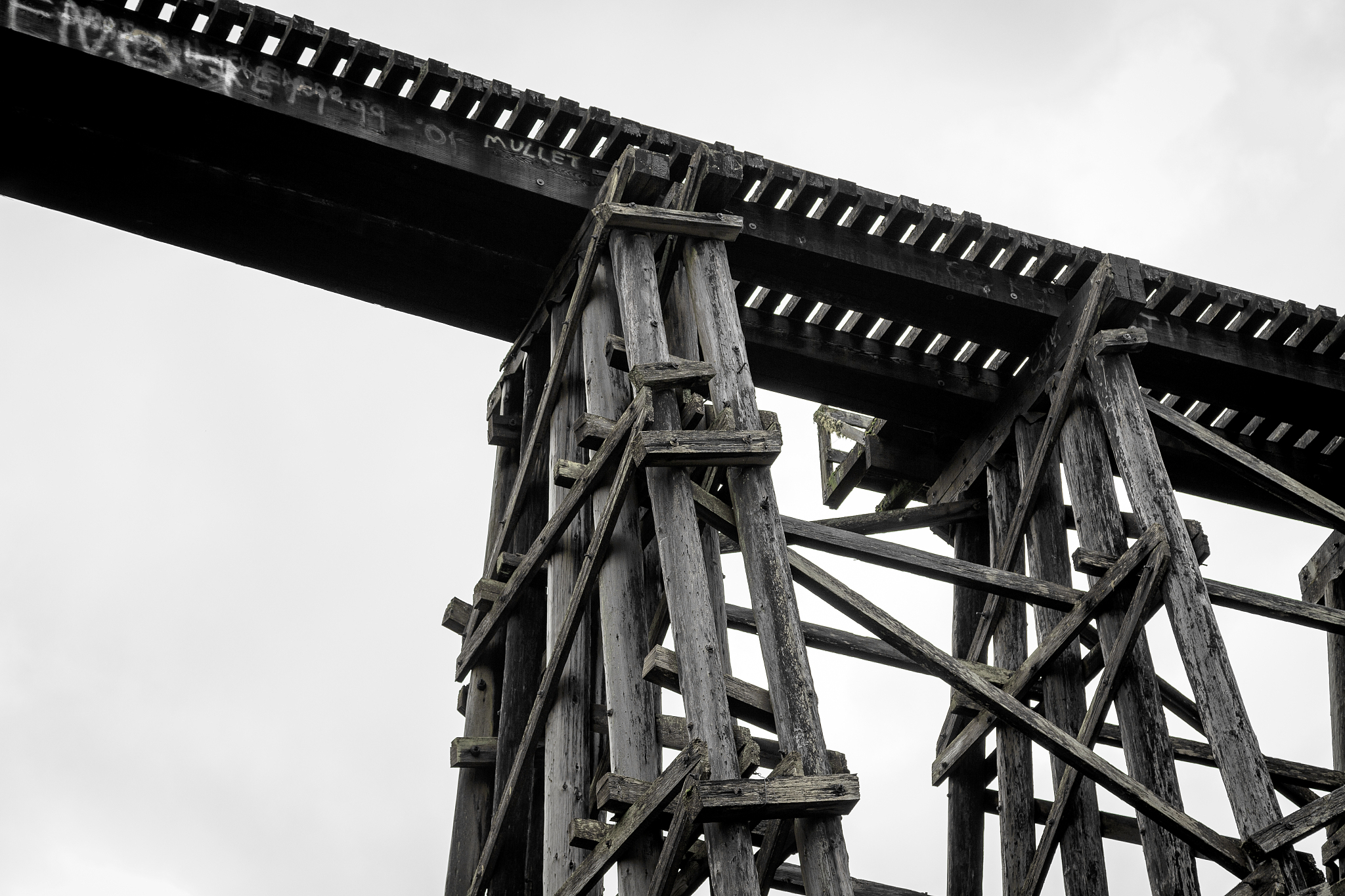 贵阳轻轨学校毕业生受到铁路行业哄抢