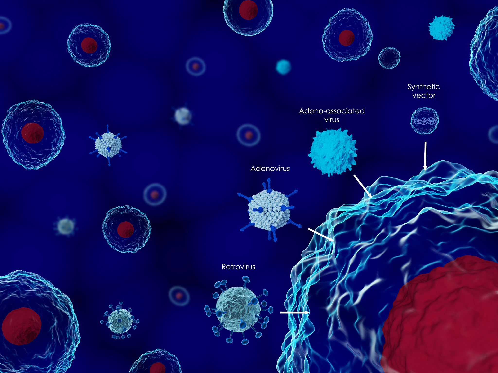 修改 基因的表达通常是由不同启动子的共同作用效果叠加而成