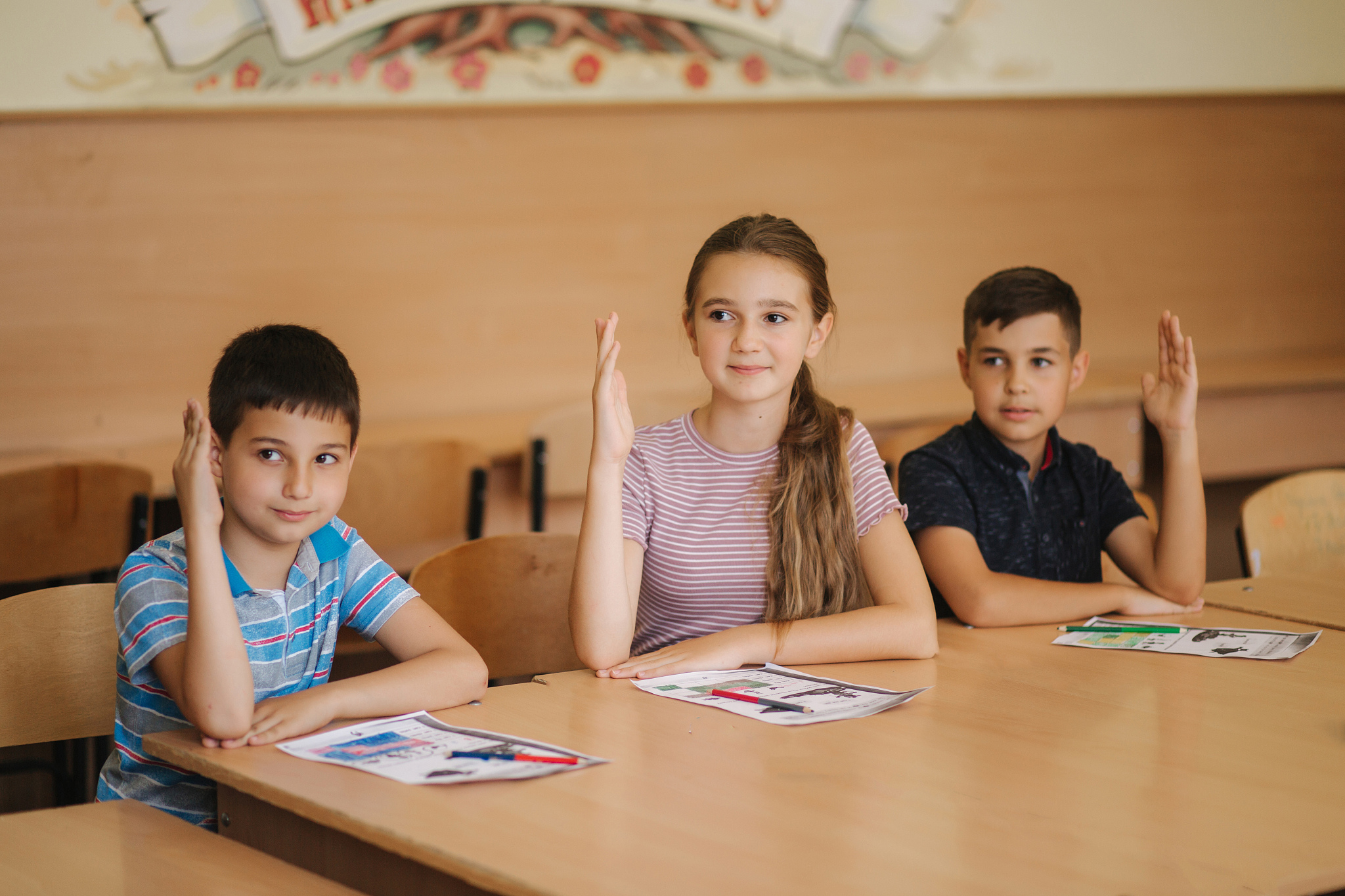 小学教育：全方位解析课程、学习和教学关键要素