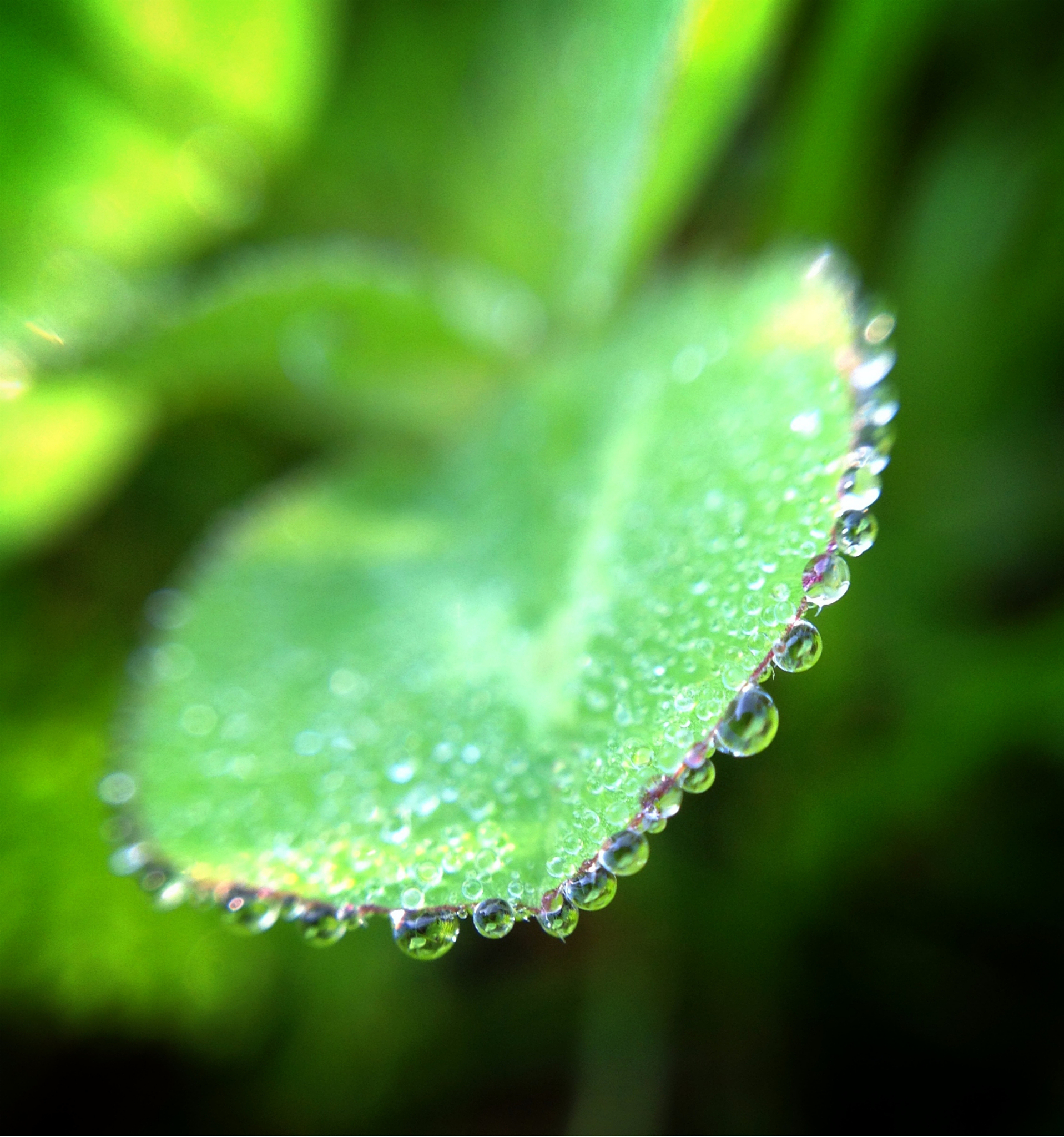 创作一首雨滴的唐诗
