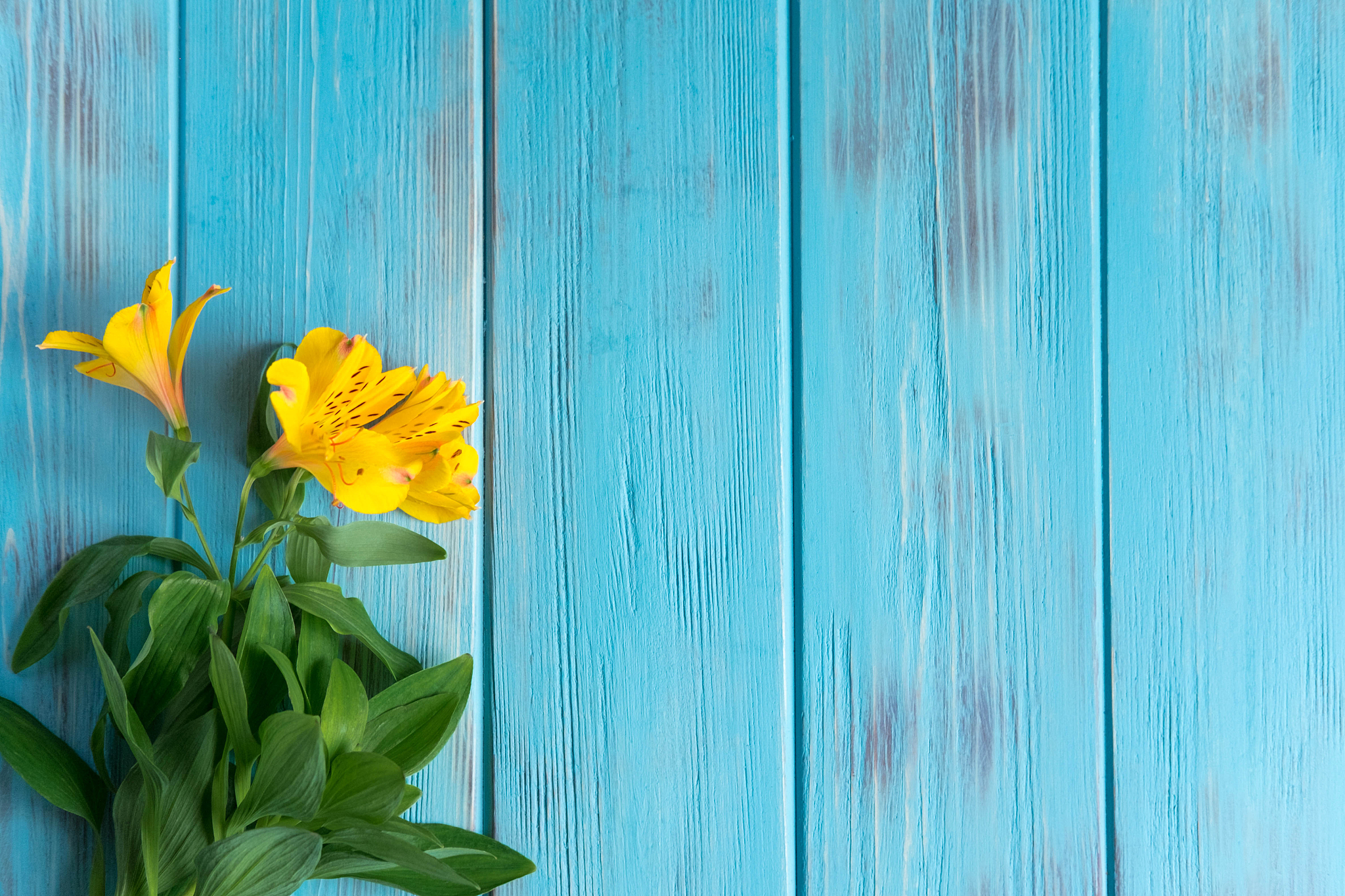 逛三园最坑人的问题：你被问过这些吗？