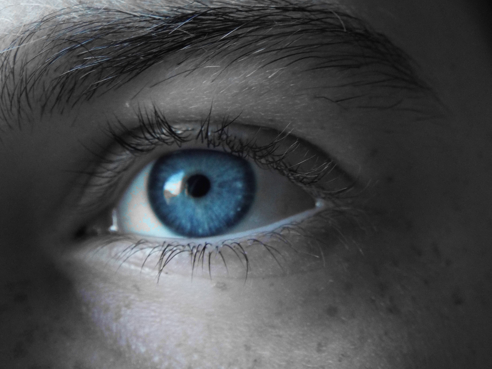 cropped image of human eye