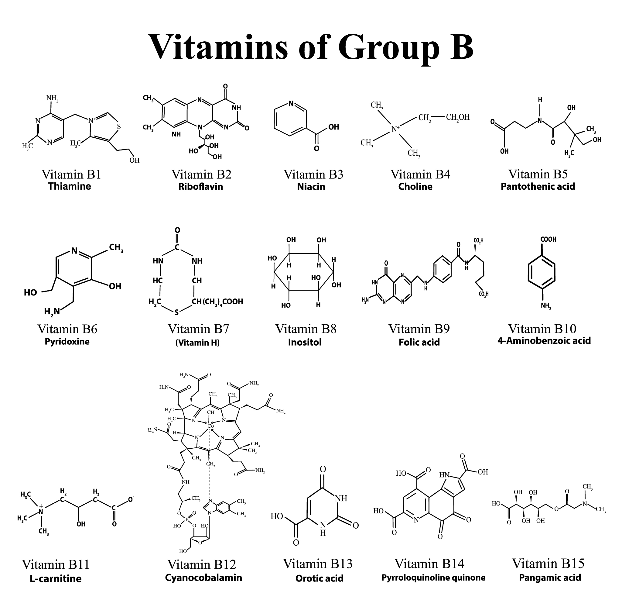 化学合成 CRO | 分子设计筛选 | 候选化合物开发