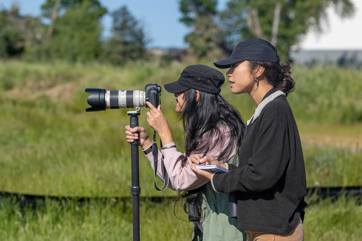 大学生摄影师梦想规划：从理论到实践，一步步实现目标