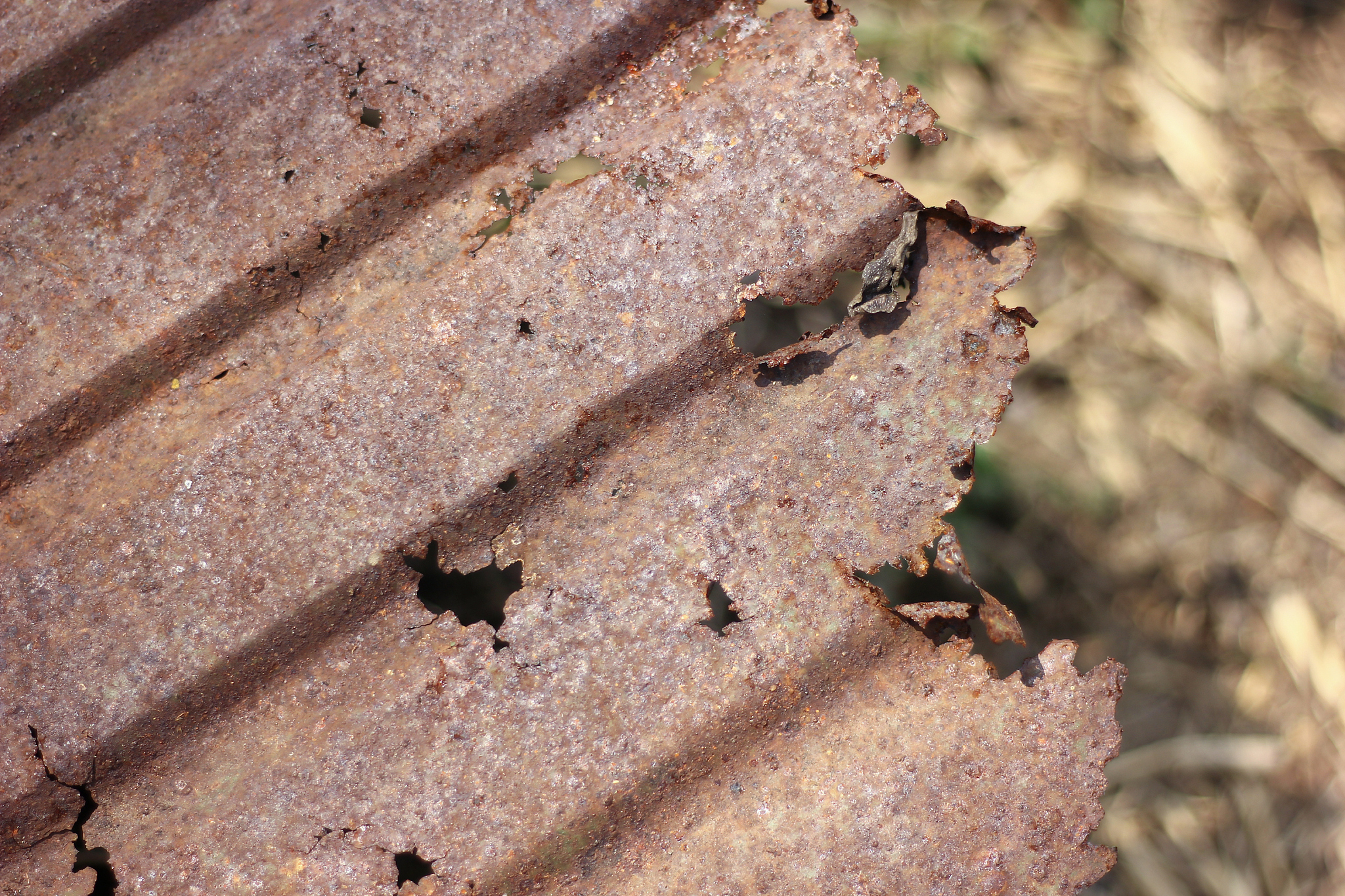 decay of tin roof