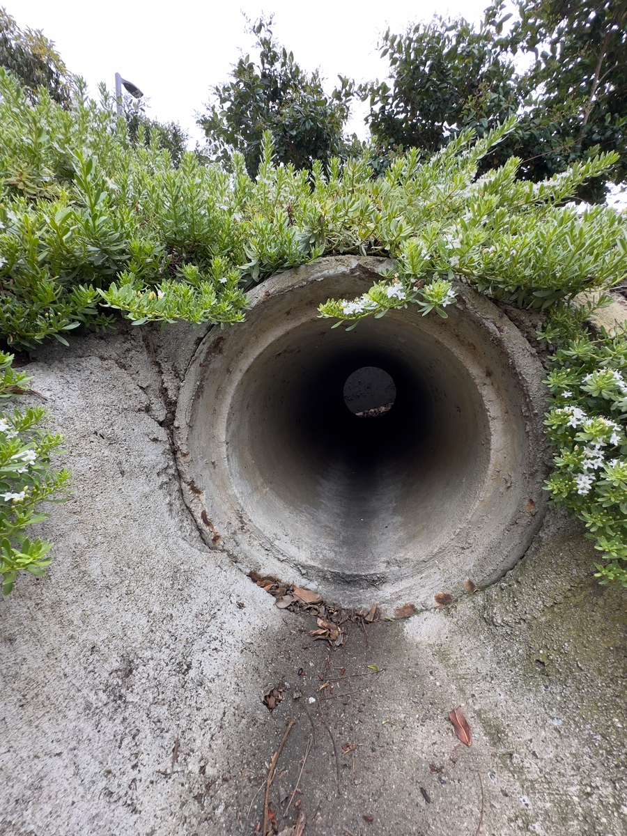 水风井是什么意思