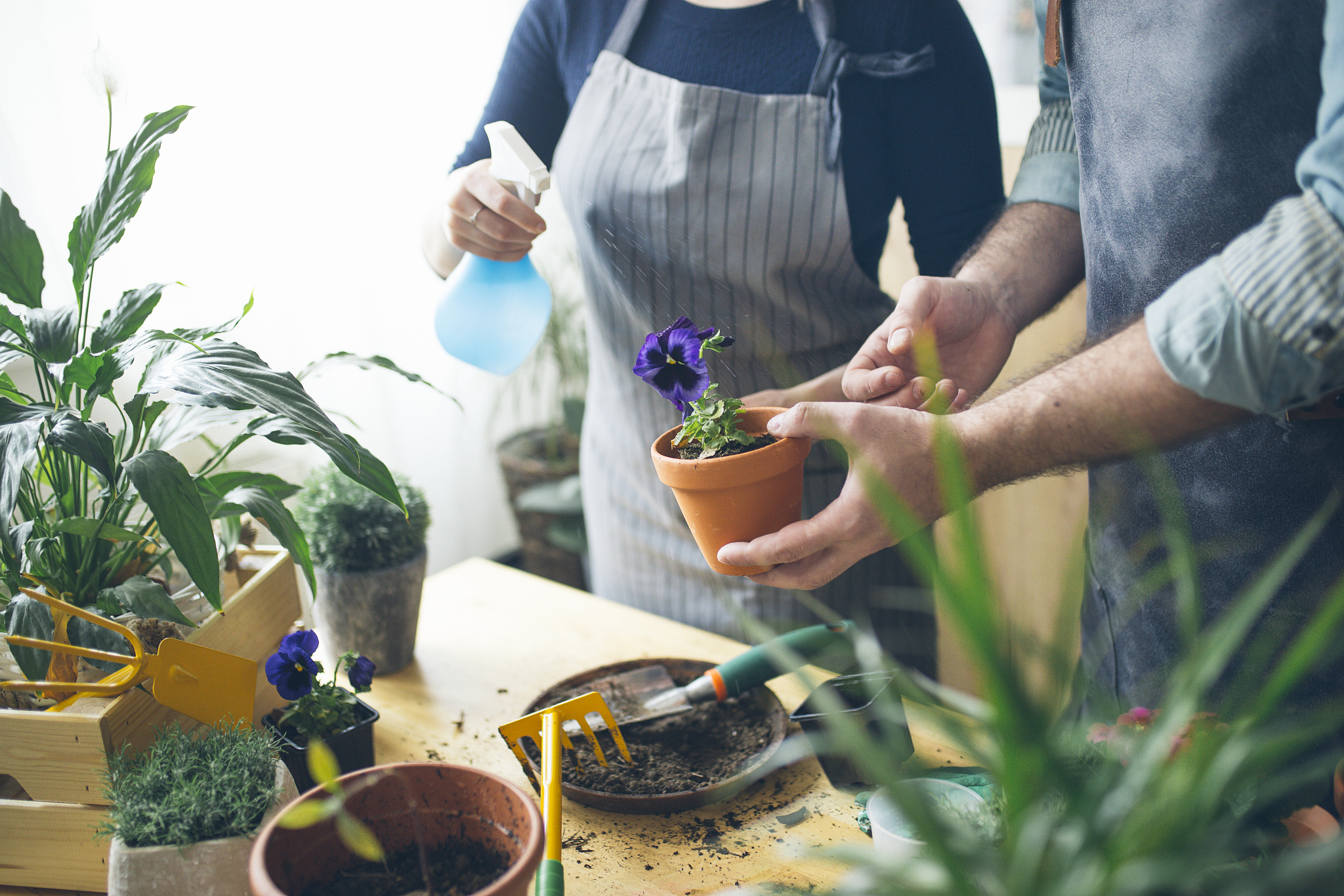 兰州园艺学校: 培养未来园艺人才的摇篮