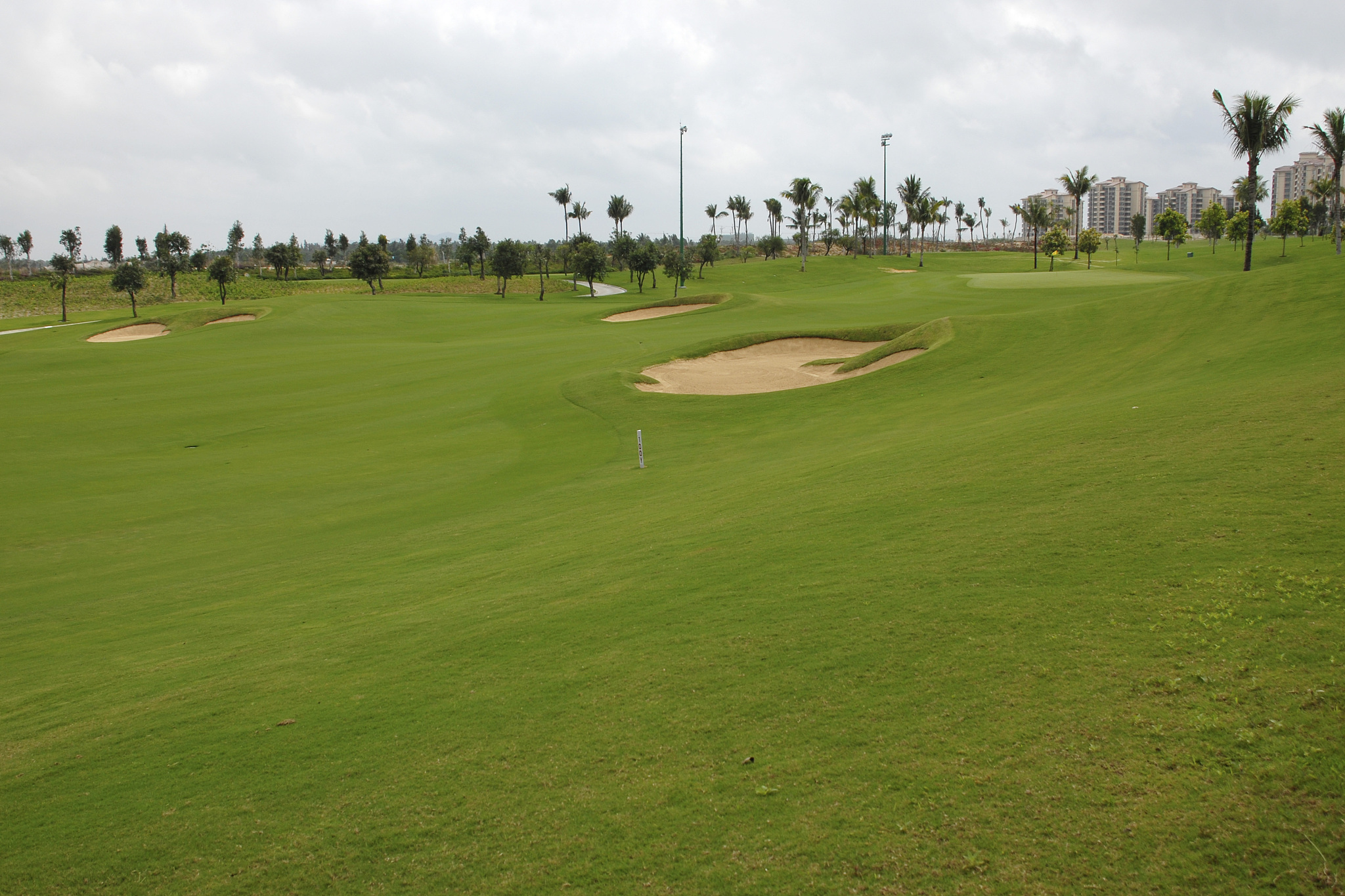 福建体育职业技术学院高尔夫运动技术与管理专业怎么样