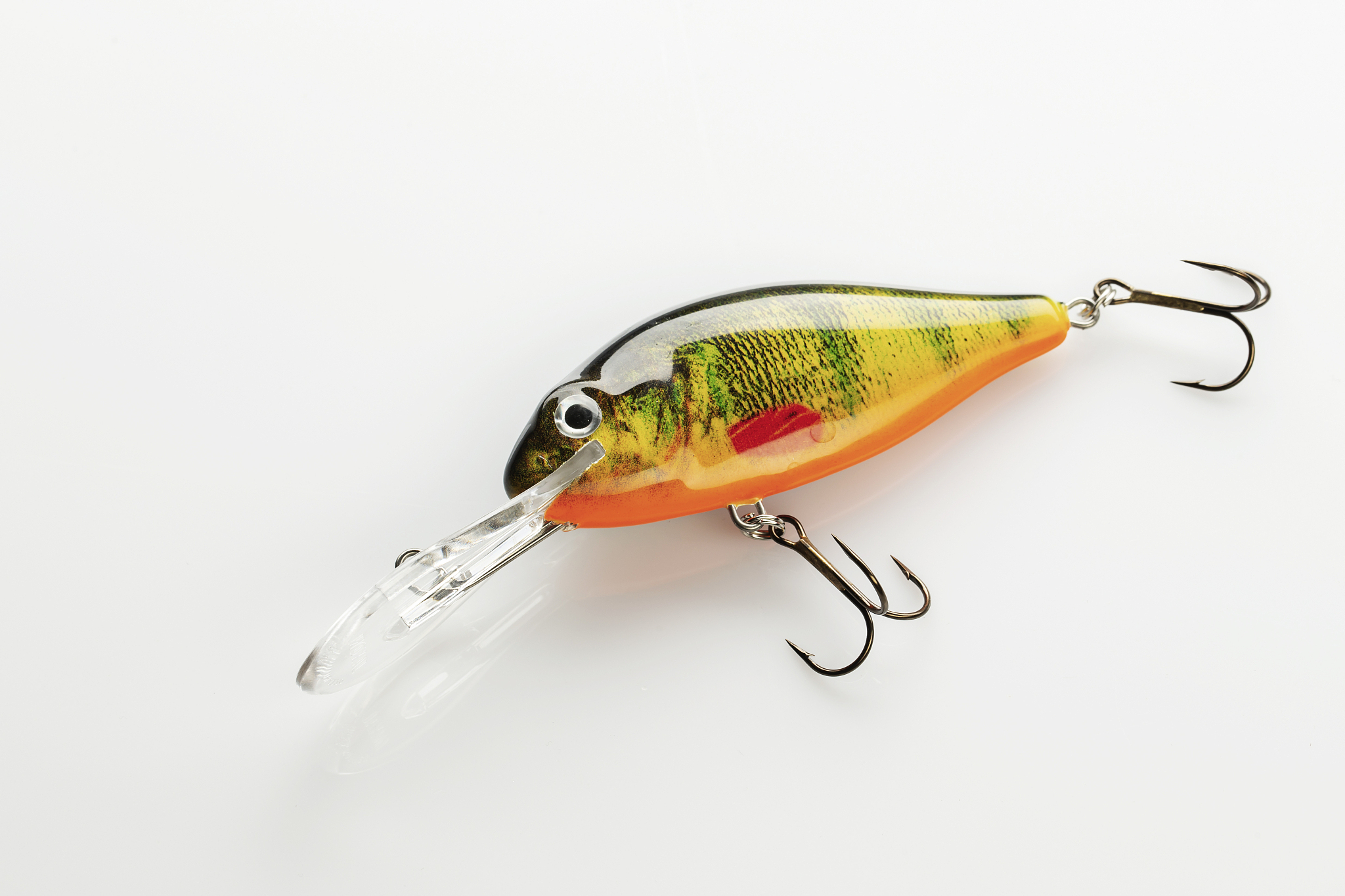 惠州体育运动学校2023年招生专业有哪些