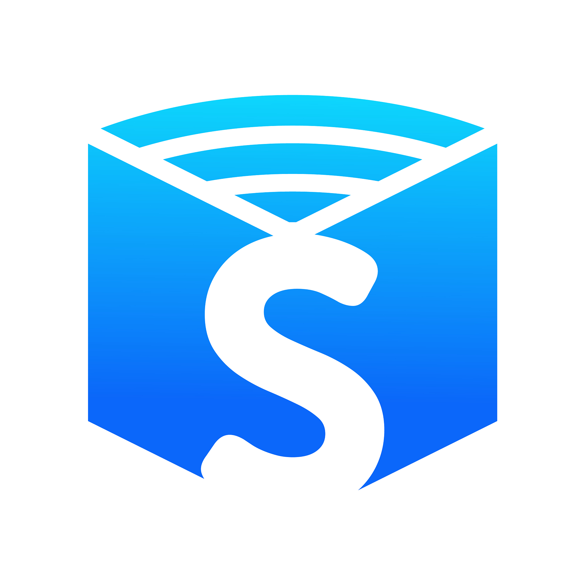 initial s education logo