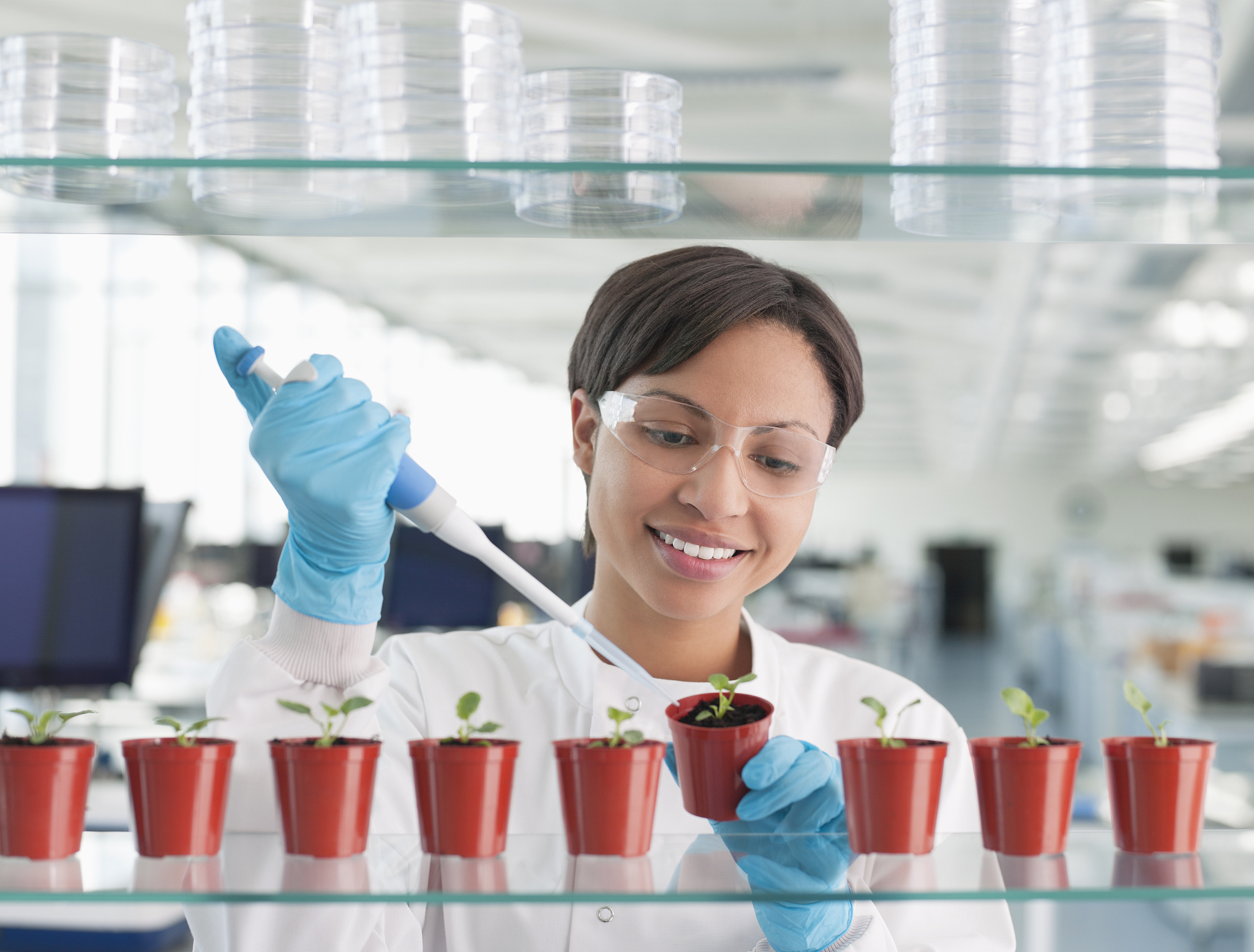 转基因植物应用前景展望：农业、医药、工业领域的机遇与挑战