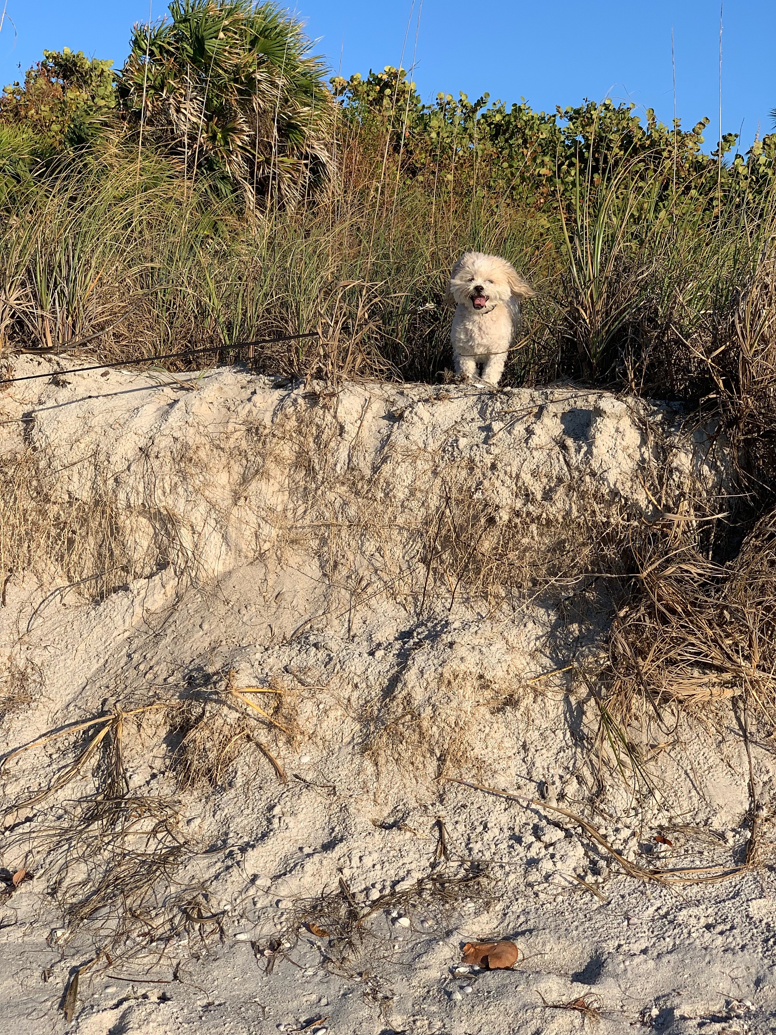 尤里卡旅行指南：北加州必玩景点推荐