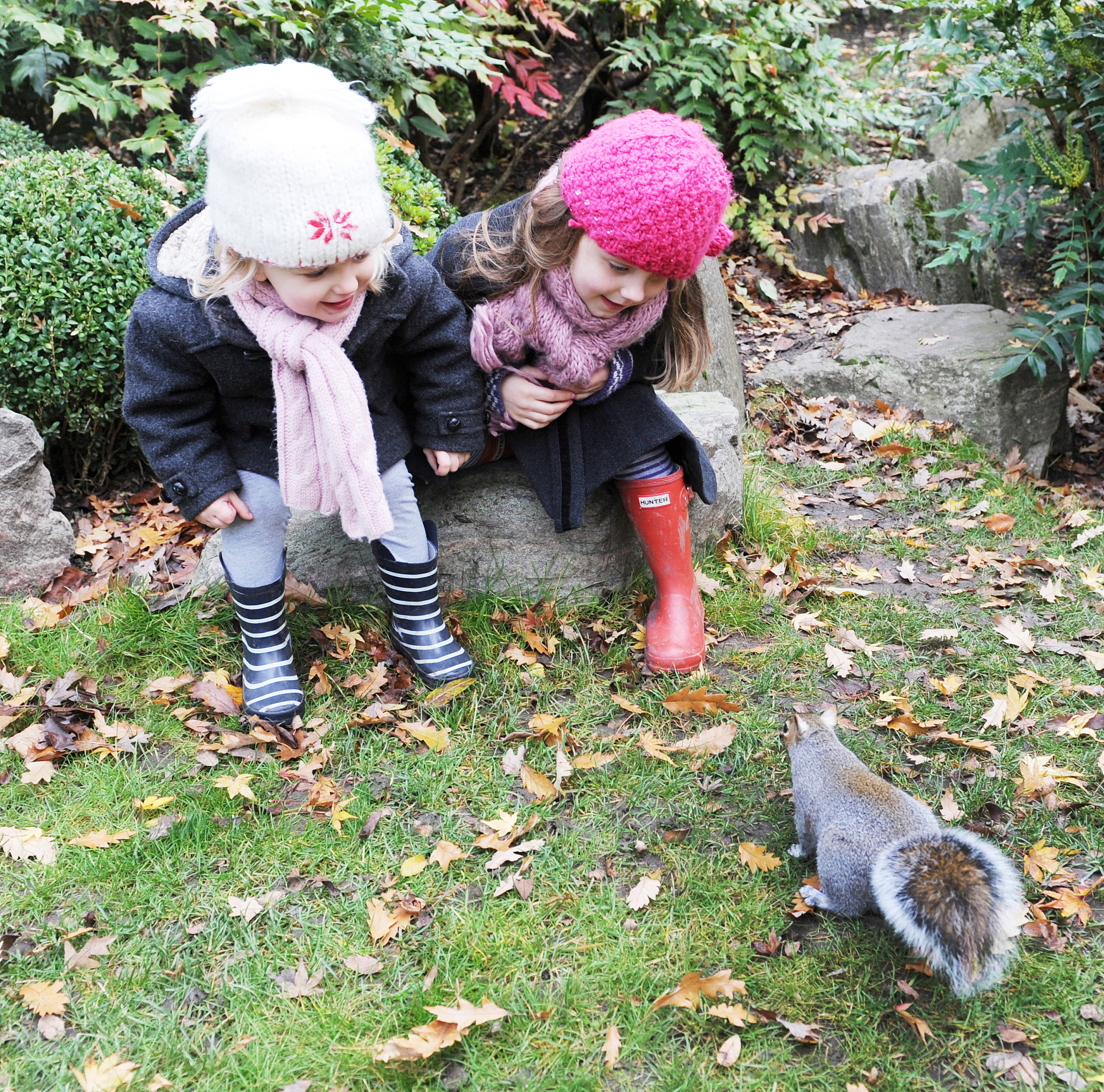 童年趣事：逗小松鼠采野蔷薇，那些年我们一起玩过的游戏