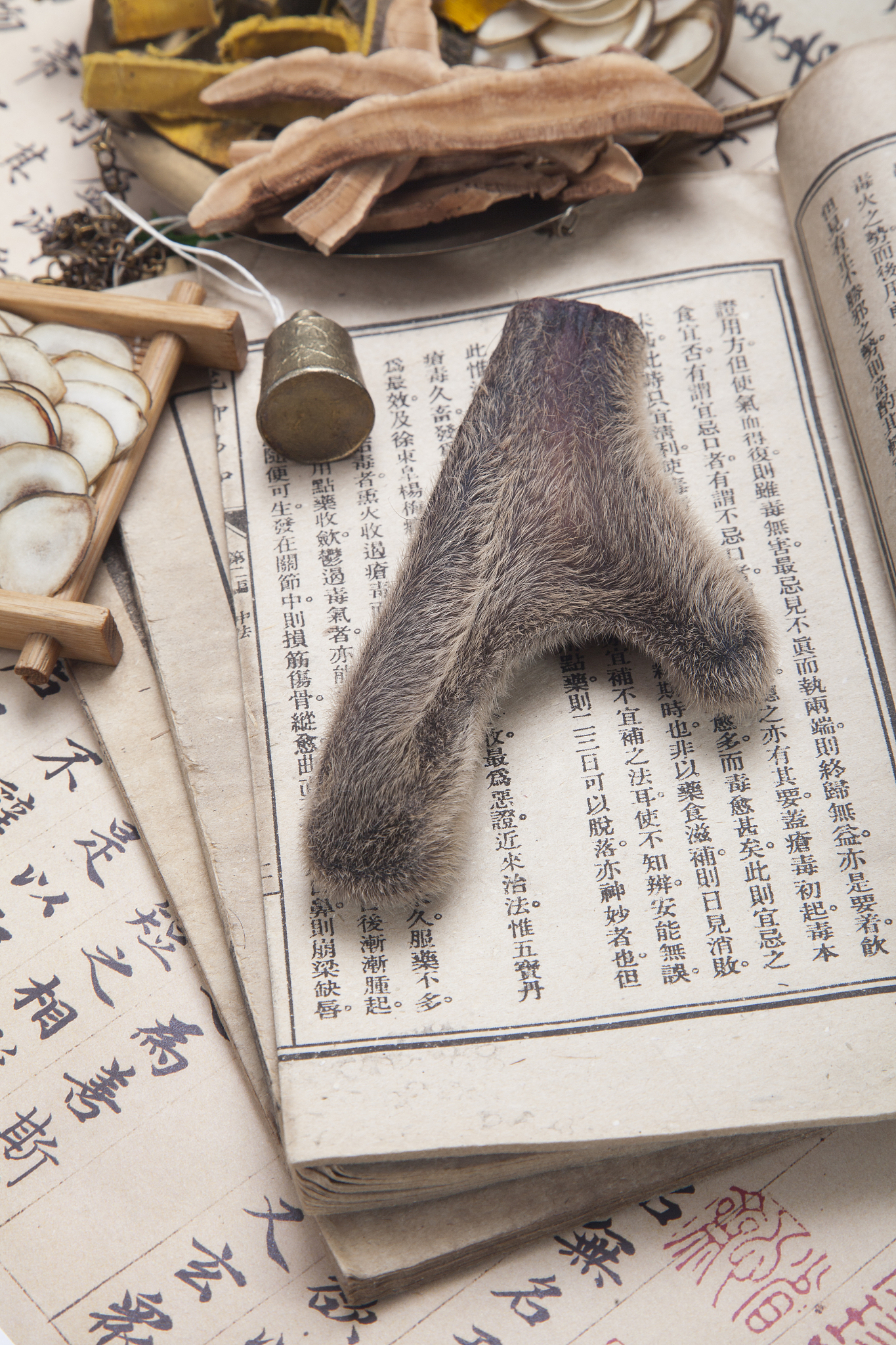 长春中医药大学专业有哪些？专业介绍