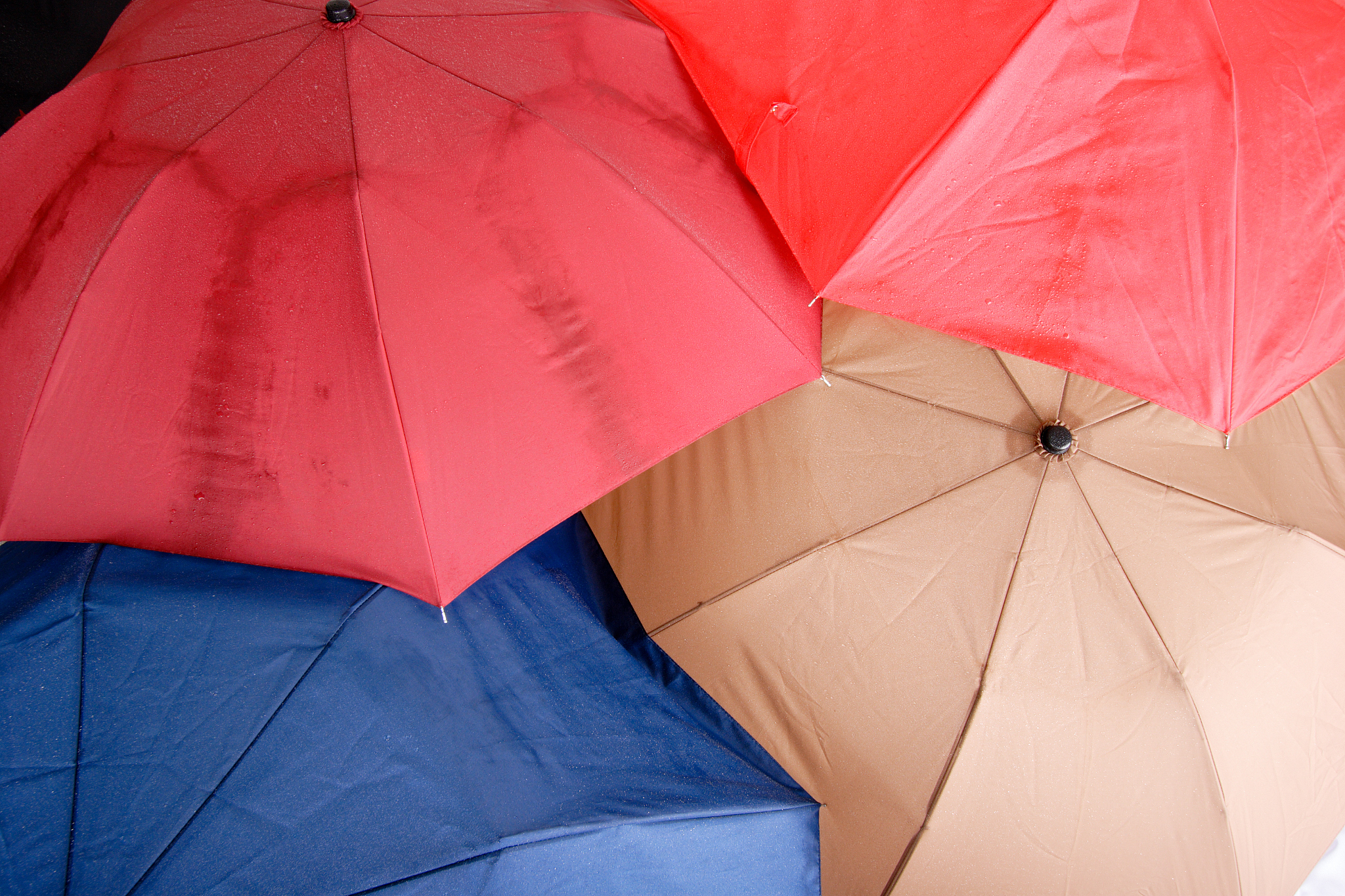 overhead view of multi-colored umbrellas
