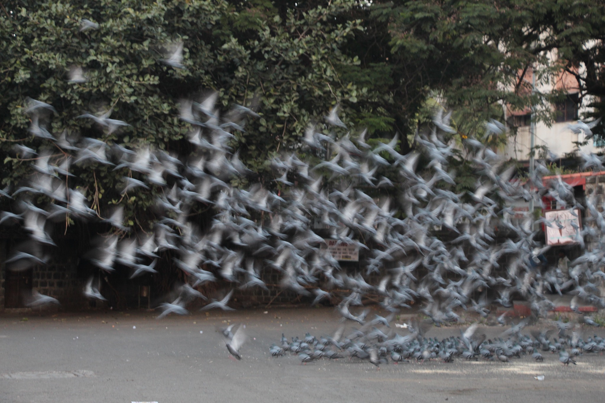 生物栖息地定义：生物生存和繁衍的场所