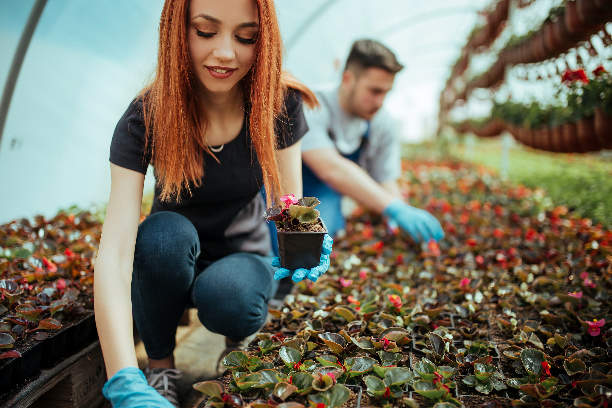 口袋里的幸福：关爱、陪伴与成长