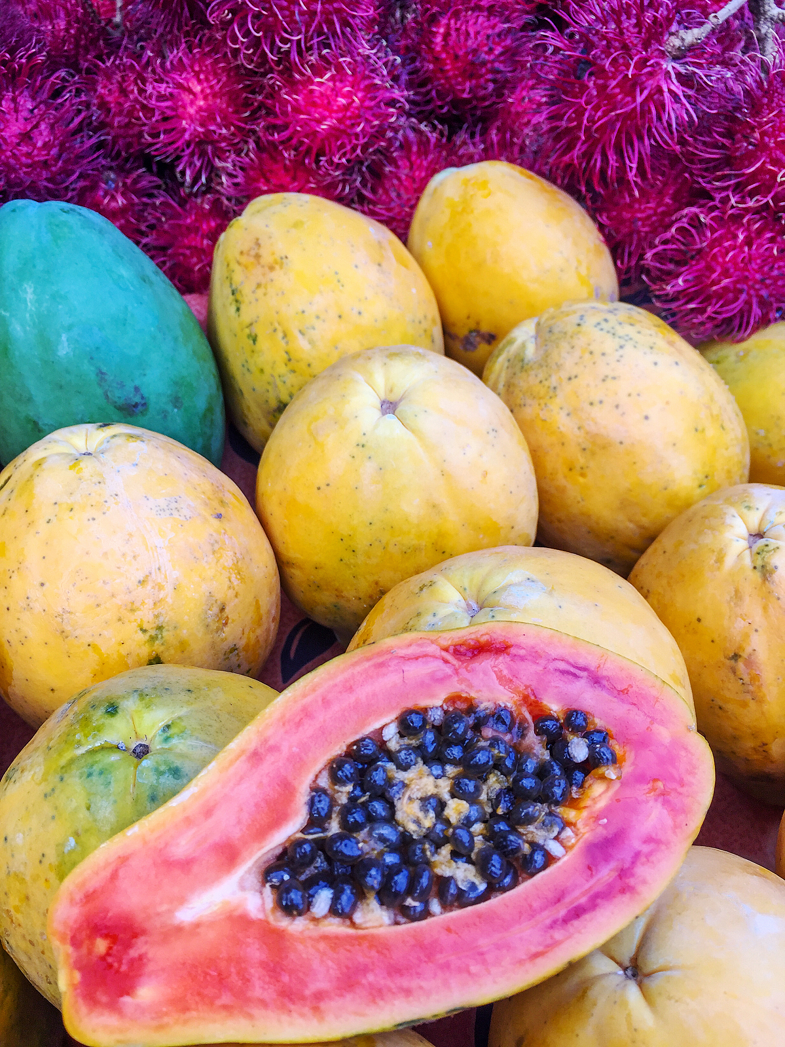 荔枝水果销售公司的发展规划