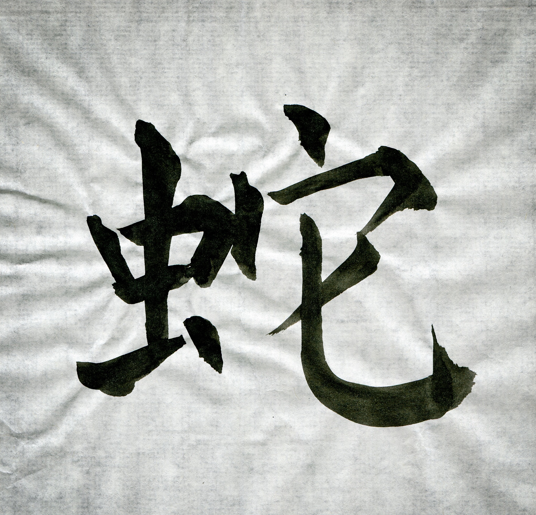 chinese calligraphy 'snake' of the word   2013
