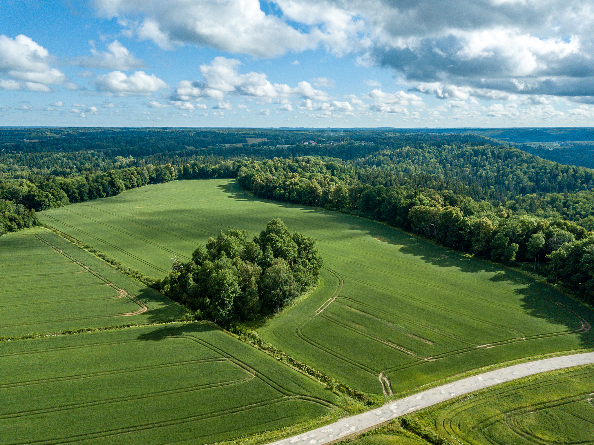 无刷电机研究热点及发展趋势：高性能、高效、集成化