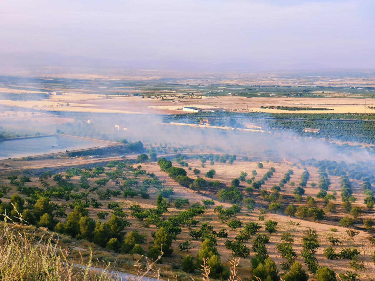 贾旺市生态转型治理分析