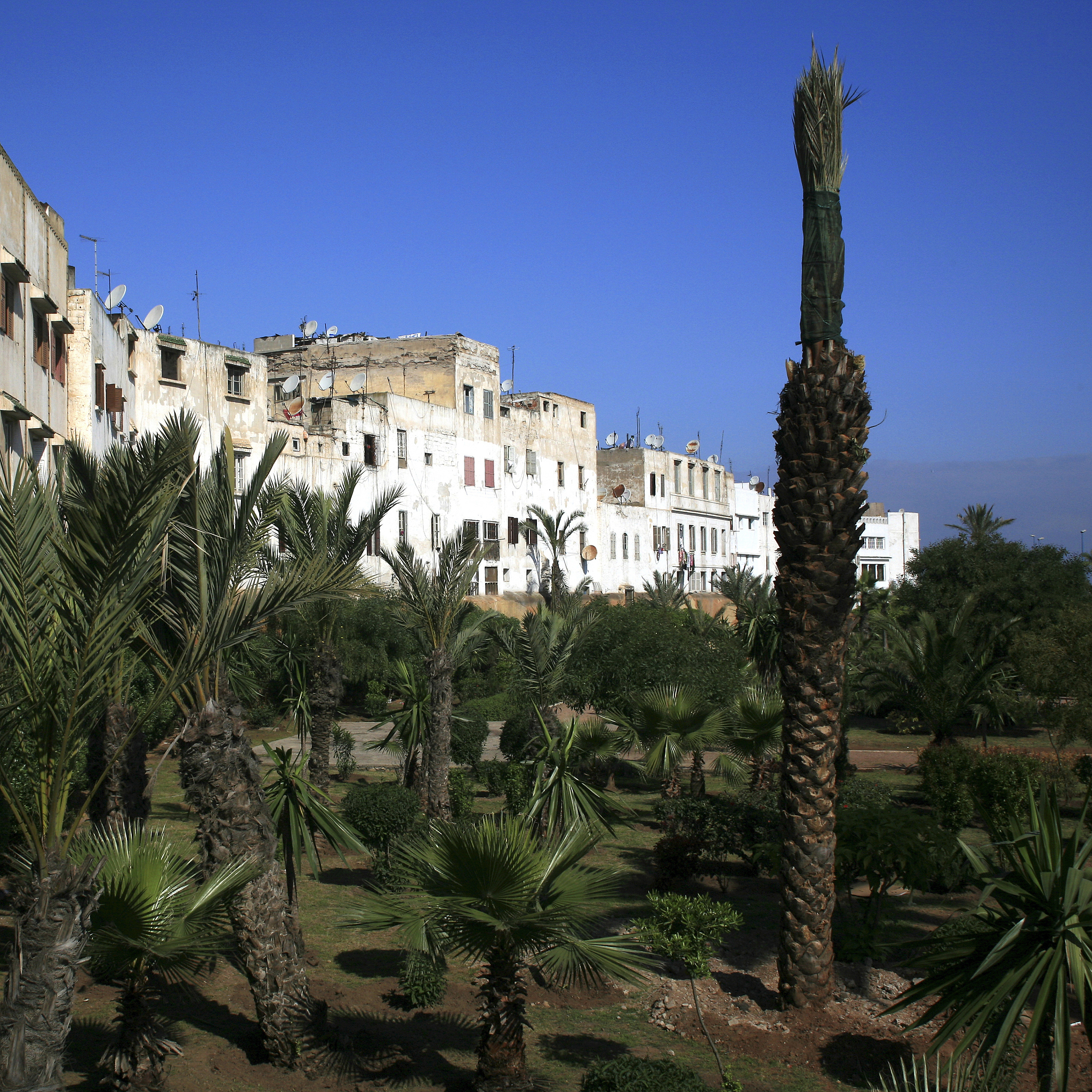 Struktur Teks Laporan Percobaan: Panduan Lengkap