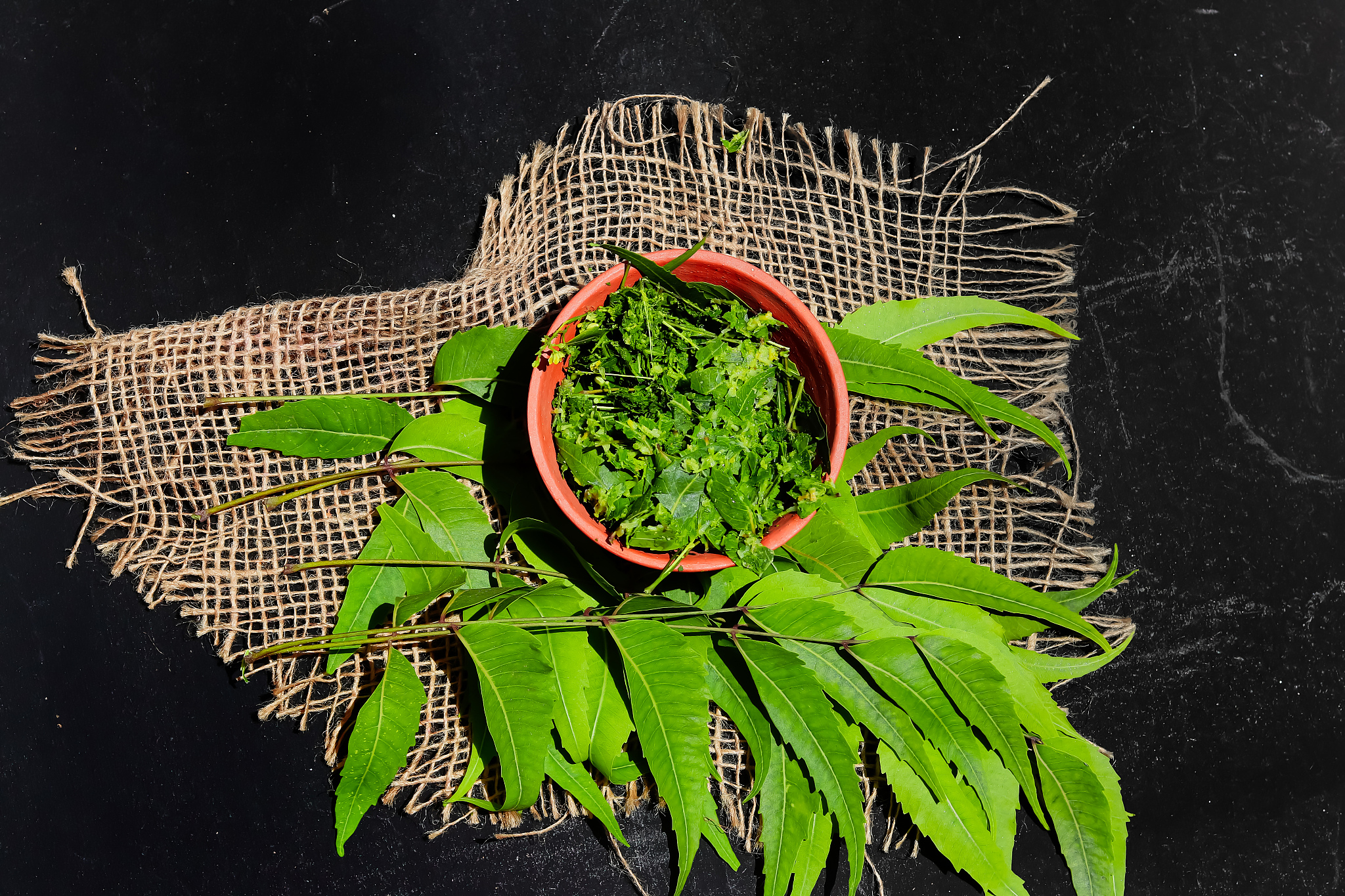 2020营口市卫生学校招生简章