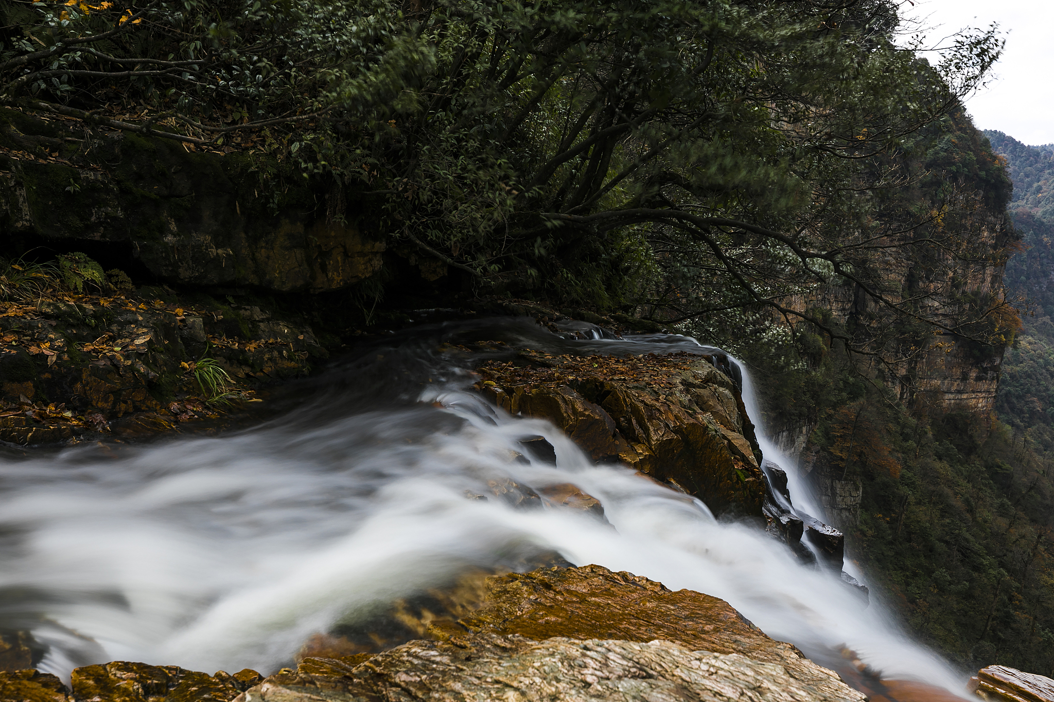 海运保险类型有哪些？7种常见海运保险全解析