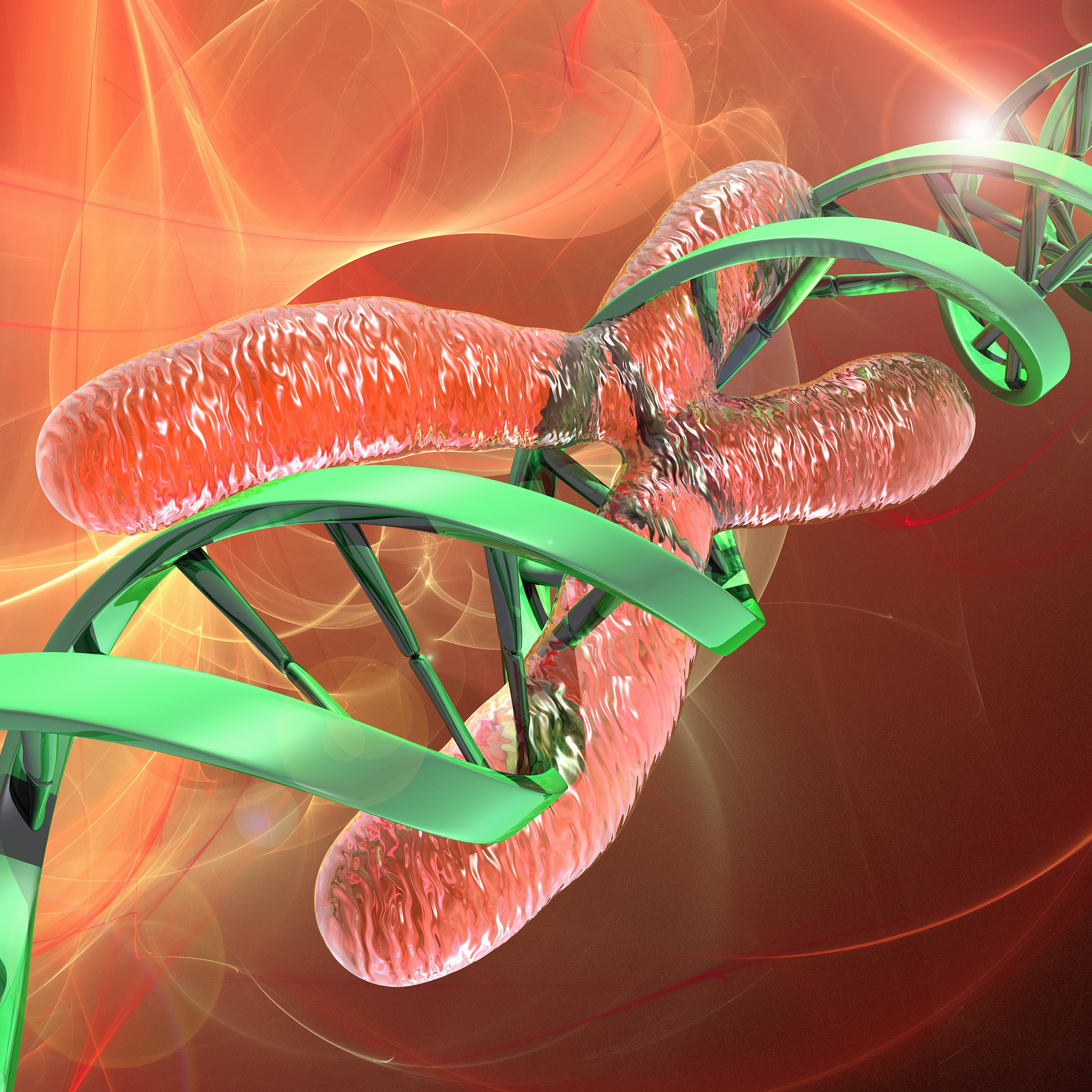 铁岭师范高等专科学校生物教育专业课程内容：基础、专业、拓展、补充