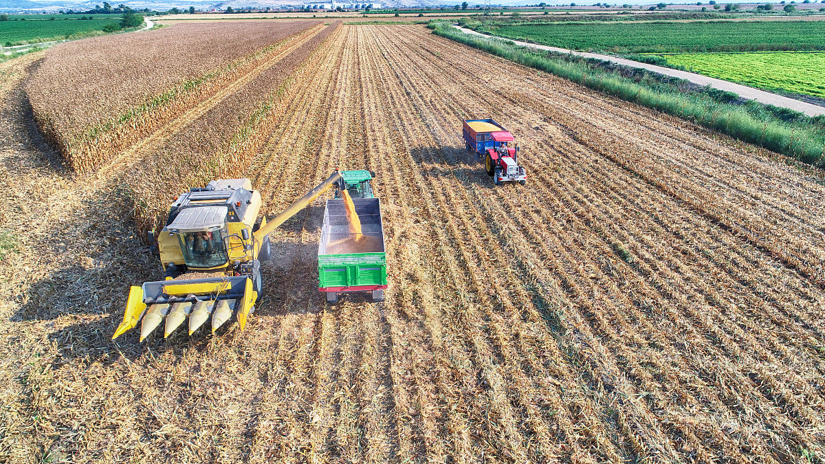 论述延安地区旱作玉米生产现状及增产途径研究的研究背景自行添加数据进行分析不少于1000字论述中不能抄袭他人观点和概念。