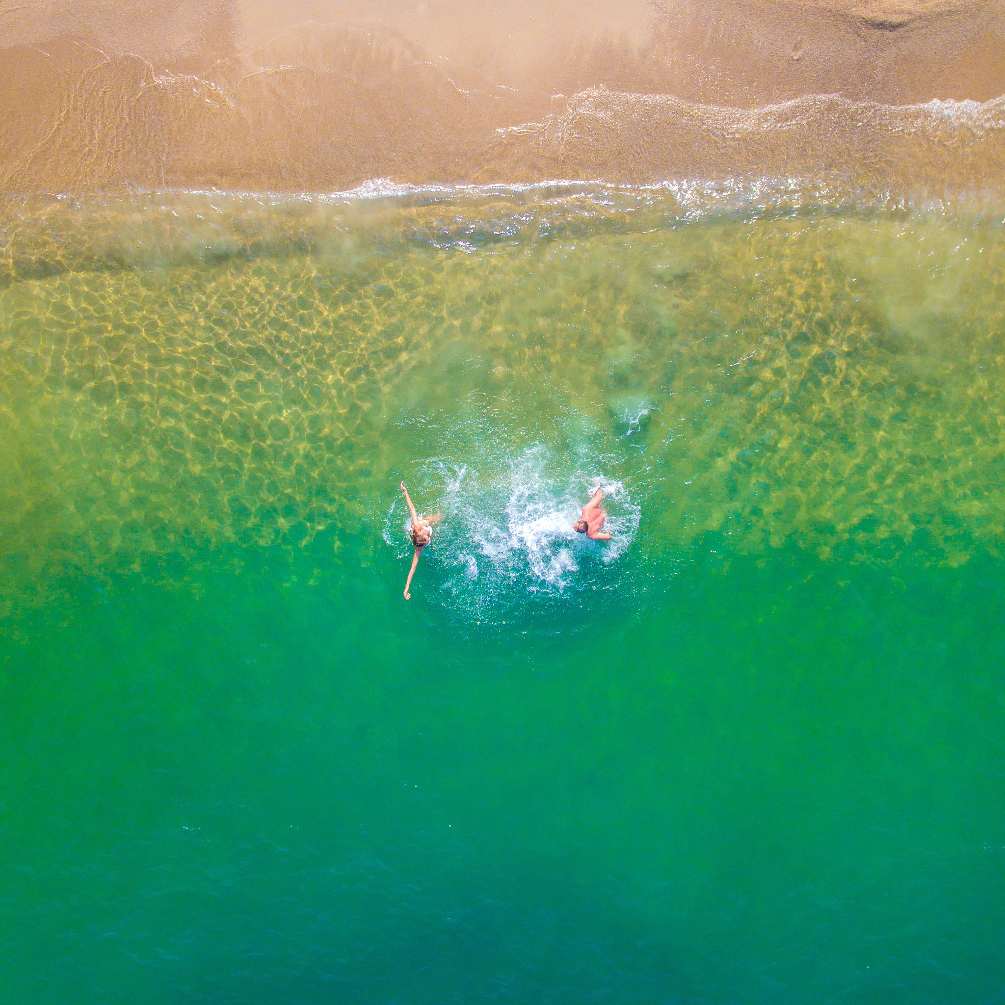 含磷洗衣粉导致水体富营养化的元凶：磷元素