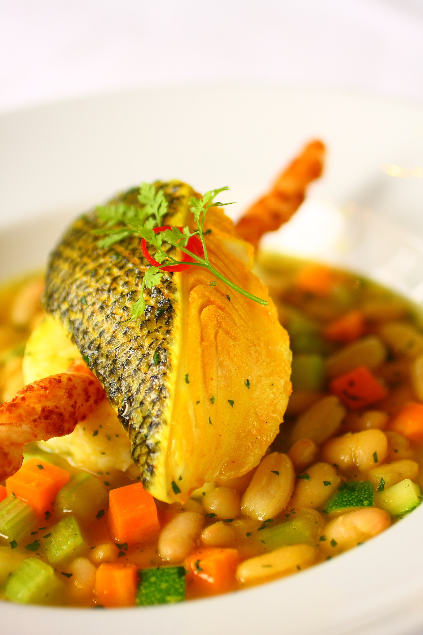 mediterranean cod fish