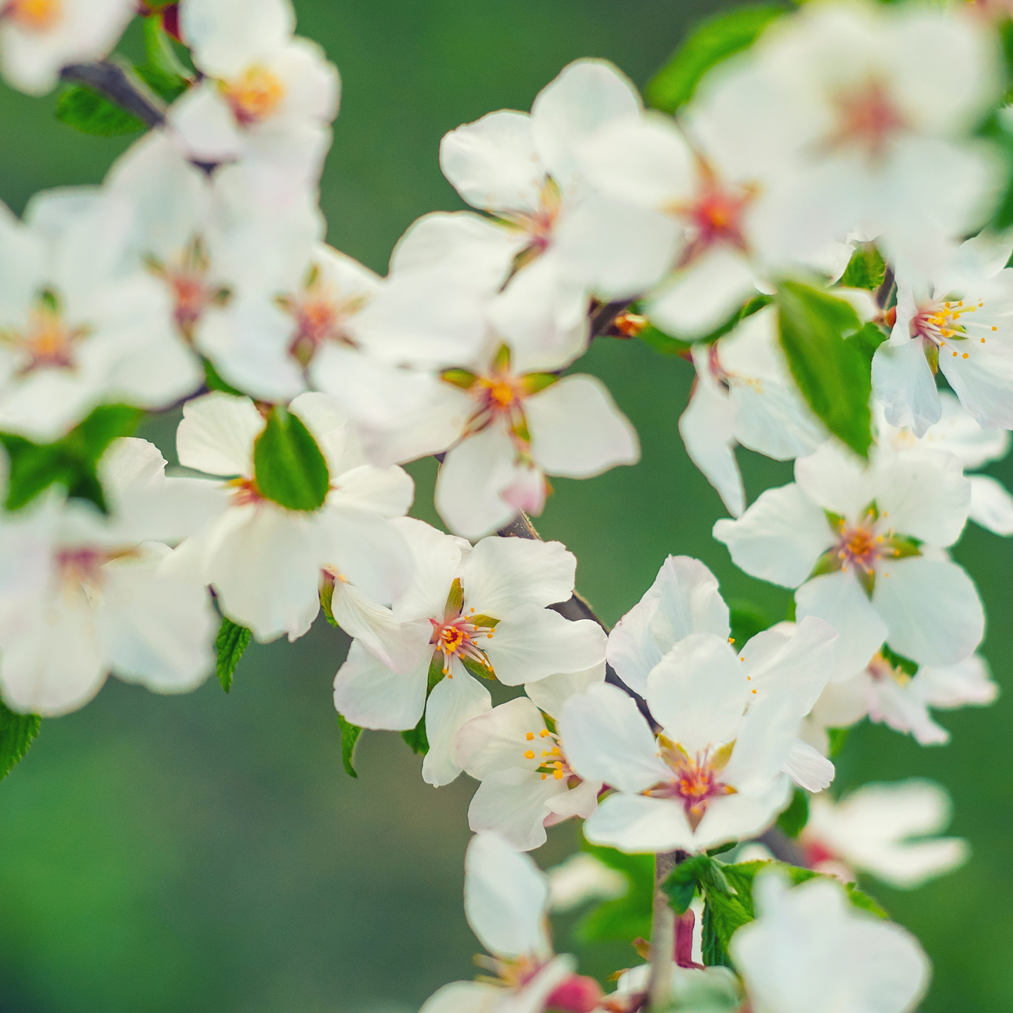 2月到6月，感受四季变迁，开启美好生活