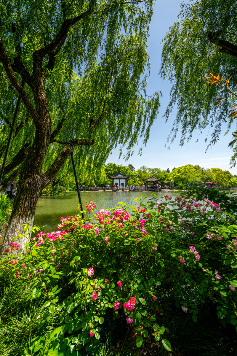 中国杭州西湖景区的风光