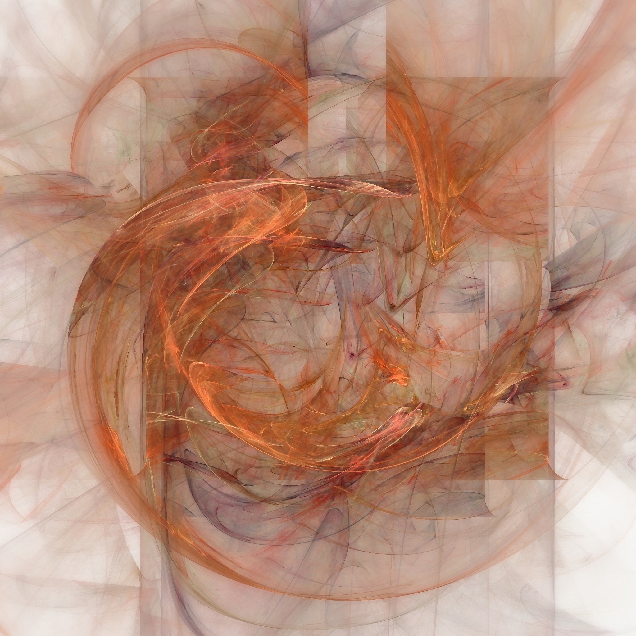 鹦鹉热诊断方法：血液测试、胸部X光、痰液培养等