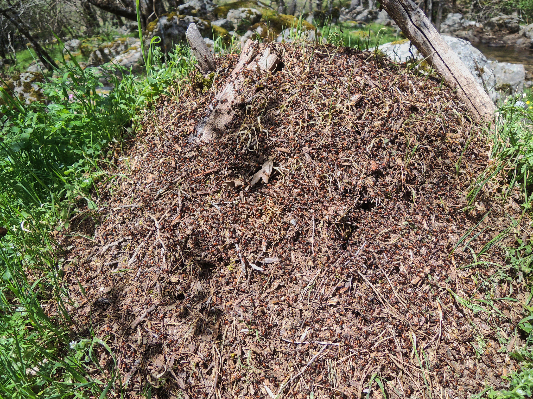 斜坡大乱斗手游更新：新角色、地图、装备、优化和活动！