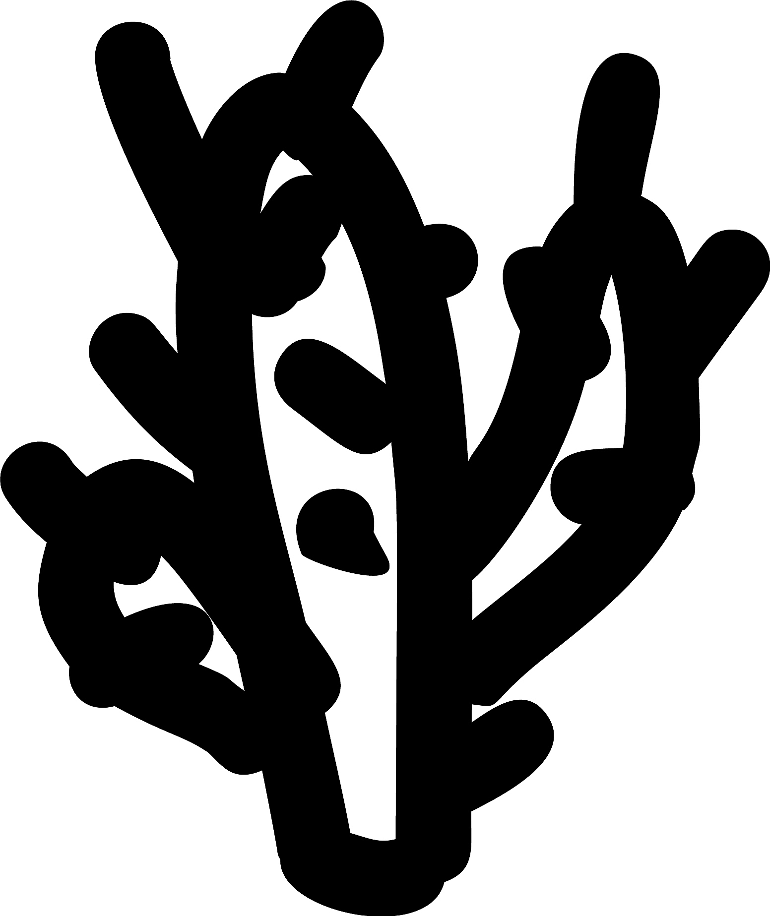 cactus hand drawn icon