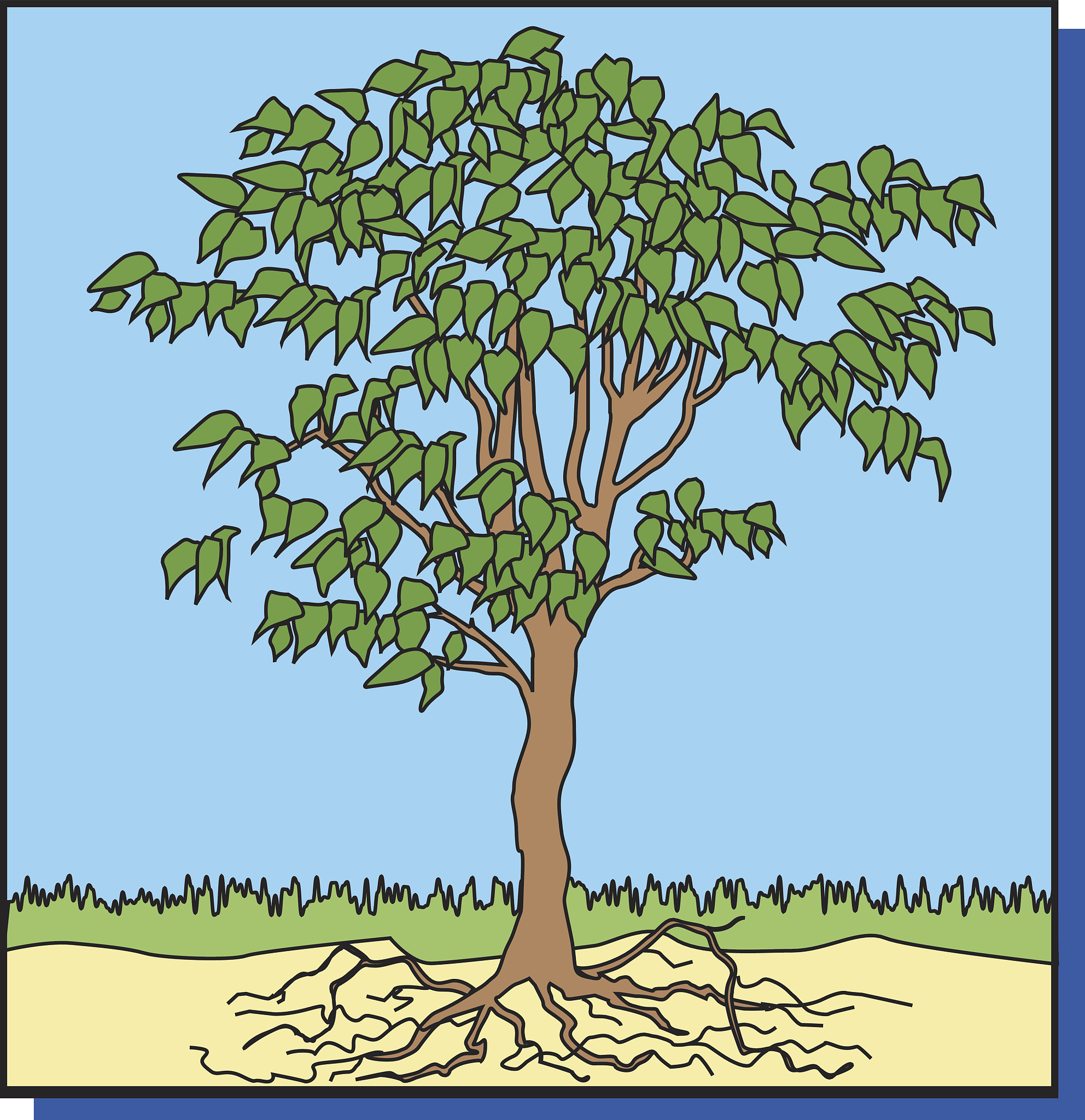 New Tree Sprouting, Old Tree Withering: English Translation