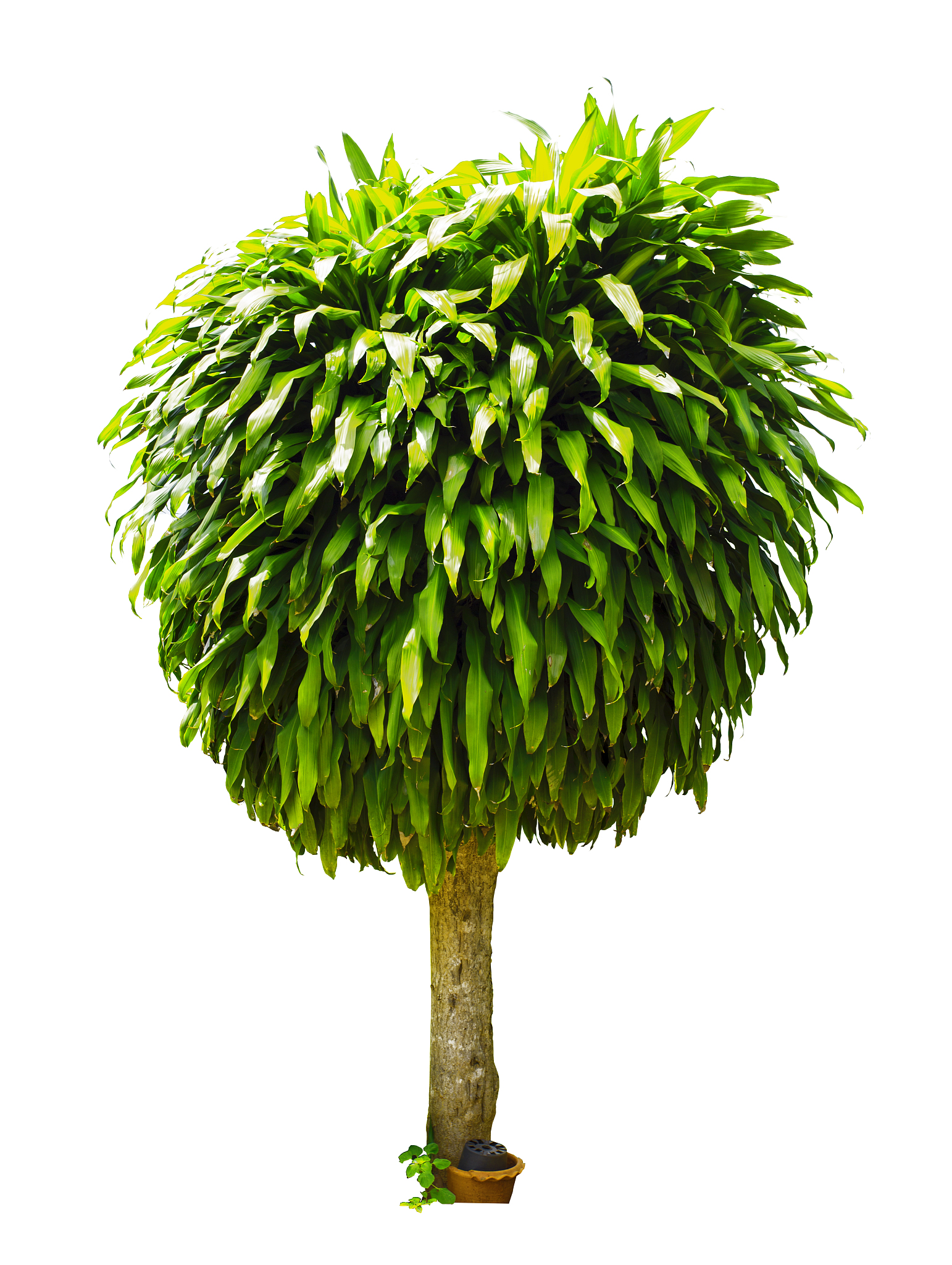 建筑设计专业就业前景分析：热门专业如何才能脱颖而出？