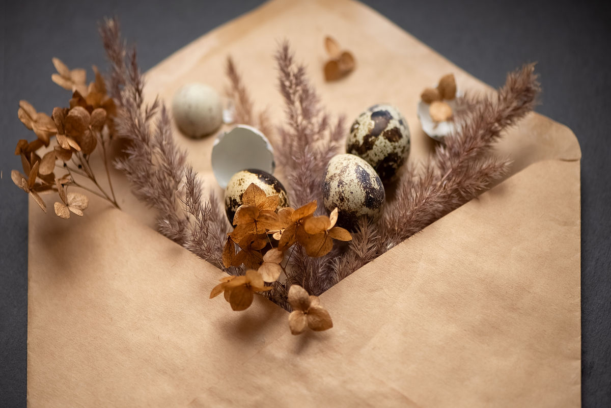 好的我需要一些初中作文范例作为参考你可以帮忙吗？