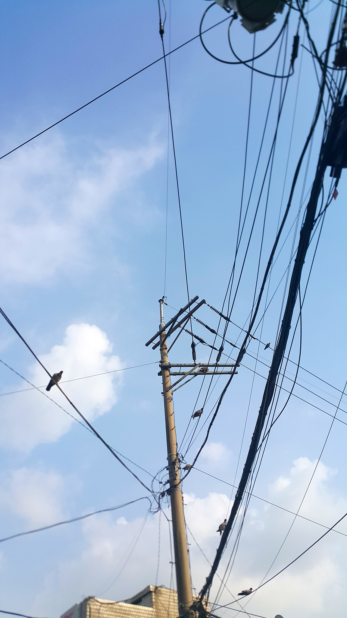 本科论文110kV变电站一次系统设计课题应达到的目的