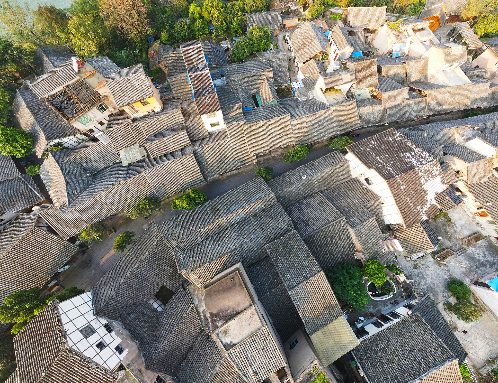 遵义拖欠工资怎么办？权威解决方案及投诉平台