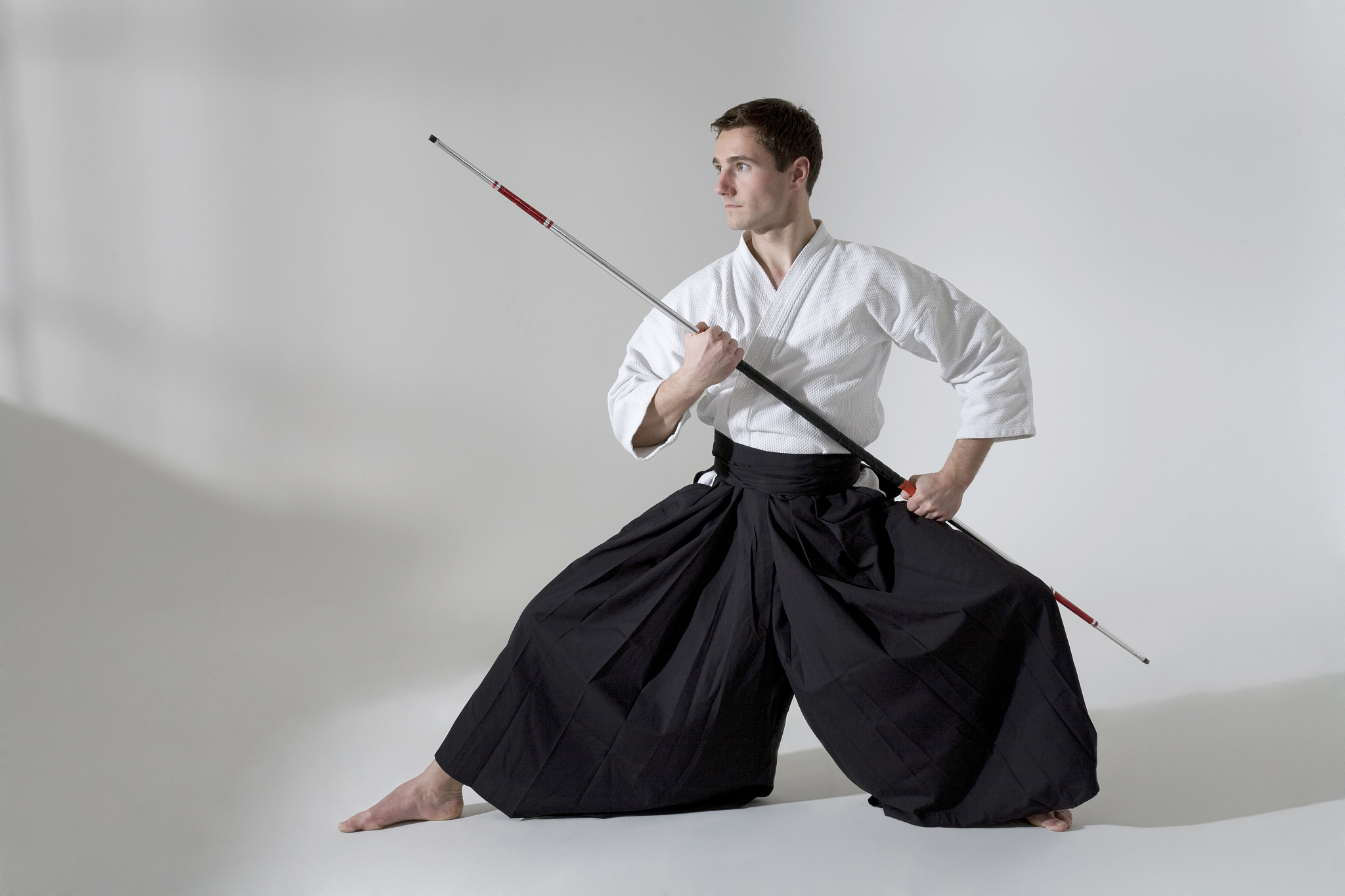 kendo fighter