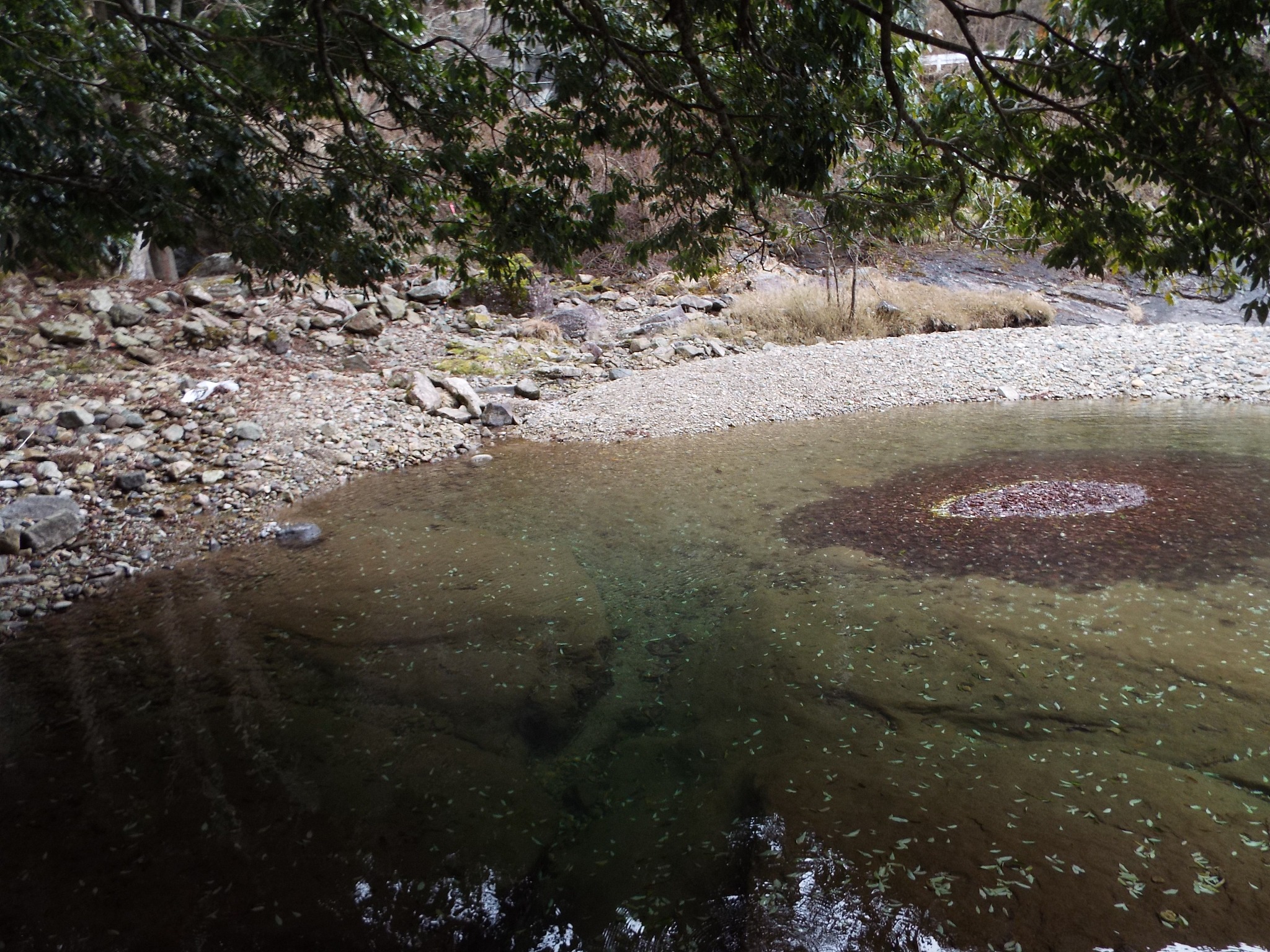 bindingrequired和requiredtrue介绍下